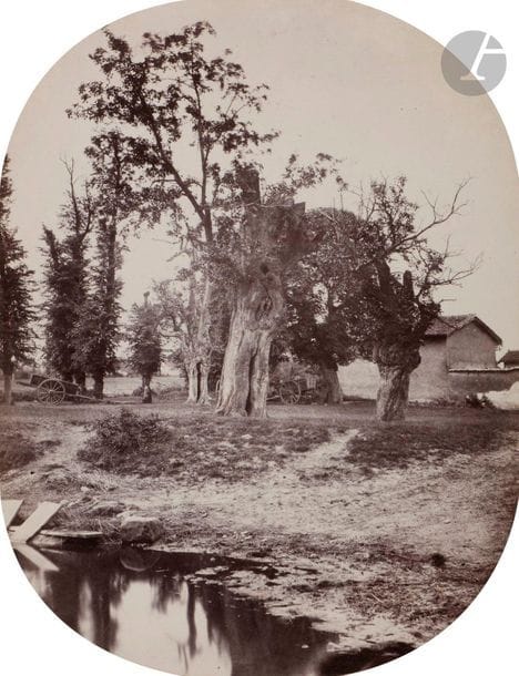 Félix Thiollier (1842-1914) 
Sites de la Loire, c. 1860-1870. 
Mare à la Renardière. 
Épreuve sur papier albuminé, aux coins arrondis, contrecollée sur carton. Légende à l’encre de la main du photographe sur le montage. 
19,7 x 15,2 cm

Félix Thiollier (1842-1914)
Sites of the Loire, c. 1860-1870.
Mare à la Renardière. 
Albumen print mounted on cardboard. Caption written by photographer on mount.
19.7 x 15.2 cm