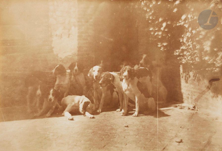 Roger du Manoir (1827-1888) 
Meute de chiens, c. 1855. 
Épreuve sur papier salé, d’après négatif papier, montée par les coins sur carton. Tampon « Album de Roger Comte du Manoir » sur le montage. 
21,5 x 31 cm 
 
Provenance : 
Album du photographe. 
 
Expositions : 
Photographies de Roger Comte du Manoir, Paris, Galerie Plaisance, novembre 2002. 
Shooting the chase, photographies de chasse au XIXe siècle, Paris, Musée de la Chasse et de la Nature, 3 novembre-19 décembre 2004. 

Roger du Manoir (1827-1888)
Pack of dogs, 1855. 
Salt print, from paper negative, mounted on cardboard. "Album de Roger Comte du Manoir" stamp on the mount.  
21.5 x 31 cm 

Provenance : photographer's album.