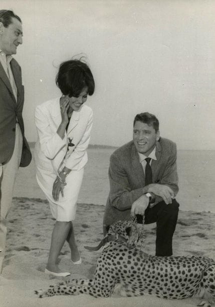 Gianni Gelmi et divers
Festival de Cannes, 1961-1963.
Luchino Visconti. Claudia Cardinale. Burt Lancaster. Marcello Mastroianni. Warren Beatty. Otto Preminger. Sofia Loren. Roger Vadim. Robert Hossein. Simone SIgnoret. Yves Montand. 
54 épreuves argentiques d'époque. Nombreux tampons de photographes, d'agences, légendes tapuscrites et annotations aux versos.
Formats : de 13 x 18 à 30 x 24 cm

Gianni Gelmi and others
Cannes Film Festival, 1961-1963.
Luchino Visconti. Claudia Cardinale. Burt Lancaster. Marcello Mastroianni. Warren Beatty. Otto Preminger. Sofia Loren. Roger Vadim. Robert Hossein. Simone SIgnoret. Yves Montand. 
54 vintage gelatin silver prints. Several photographers' and agencies' stamps, captions and annotations on versos.
Dimensions : from 13 x 18 to 30 x 24 cm