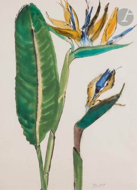 Jean POLLET (né en 1929)
Strelitzia
Encre et aquarelle.
Signée en bas à droite.
(Infimes rousseurs).
74 x 53 cm

Provenance : 
Galerie Maurice Garnier, Paris (étiquette au dos).