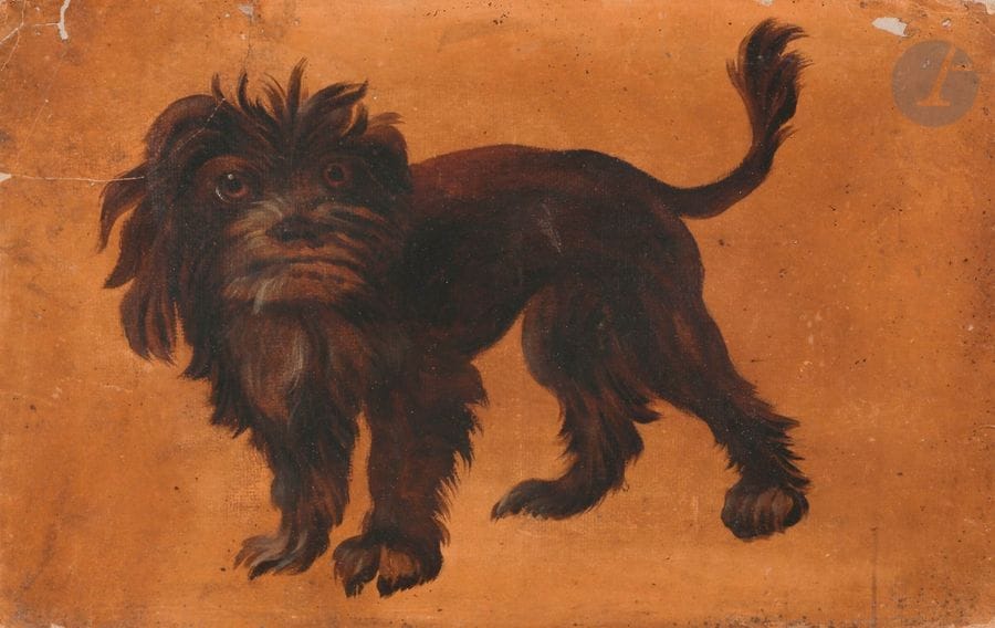 École FRANÇAISE du XVIIIe siècle
Étude de chien
Huile sur papier préparée en ocre jaune.
(Dessin doublé, manques et déchirures en haut à gauche).
24 x 37,5 cm