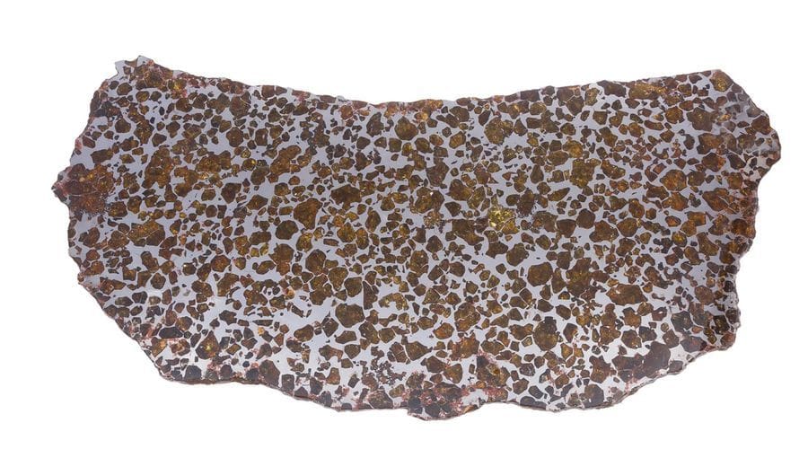 MÉTÉORITE.
Météorite pallasite Fukang.
La météorite Fukang, l’un des plus merveilleux legs fait par la voûte céleste à l’humanité, dispose d’une histoire mouvementée, à l’instar des pierres précieuses historiques des Indes, qui, ornant précédemment les tiares des divinités, s’en allèrent rejoindre les gardes des sabres ou les couronnes de nos rois et empereurs. 
Ainsi, alors que s’éteignait le dernier millénaire, un notable chinois acquit une mystérieuse masse météoritique de quelques 1003 kilogrammes dans la province chinoise de Xinjiang. Il fit fractionner, tailler ce trésor en 5 masses : un premier volume d’où est issu notre bel exemplaire, une masse principale de quelques 900 kg, une masse de 20 kg, deux autres enfin de 31 kg chacune dont l’une se trouve désormais localisée dans les collections de l’Université de l’Arizona.
La rare et splendide plaque ici présentée est vraisemblablement la plus fine et la plus élégante de toutes celles, au nombre de quatre, qui furent produites, ceci au terme d’un polissage particulier et d’un certain allègement en matériau. 
Elle est de surcroît parfaitement identifiée par les plus grands collectionneurs et spécialistes mondiaux comme étant une coupe de la fenêtre de quelque 19 x 63 inches pratiquée dans la plus belle zone à olivine de la météorite, au cœur même de sa masse la plus précieuse.
Notre tranche, véritable ciel d’argent constellé d’une myriade de pierres semi-précieuses, est l’un de ces joyaux de l’Espace, qui réapparaît au gré des fluctuations des grandes collections internationales.
Une des faces révèle, dégagées à l’acide, les figures dites de Wildmanstatten. 
La météorite est fournie avec sa valise de transport.
46 x 86 cm environ.