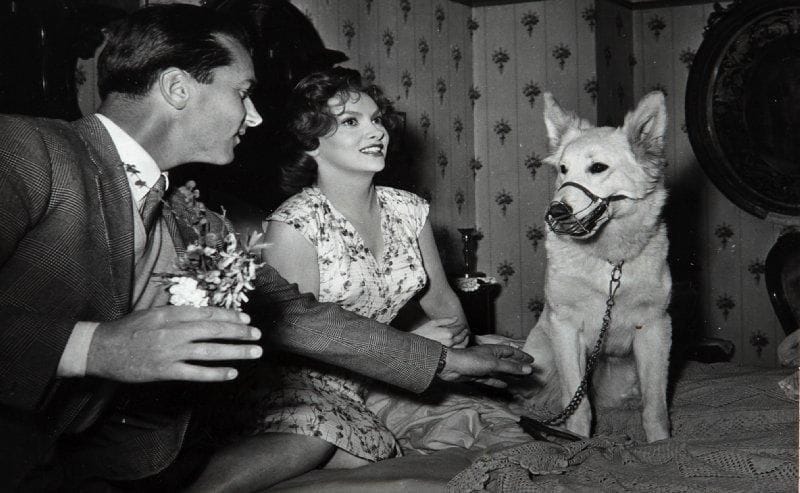 La romana (La belle Romaine), 1954. De Luigi Zampa, avec Gina Lollobrigida, Daniel Gélin et Raymond Pellegrin. 19 épreuves argentiques et d'exploitation d'époque par Fed. Patellani et divers. Tampons aux versos. Formats: 18 x 24 et 20 x 26 cm.