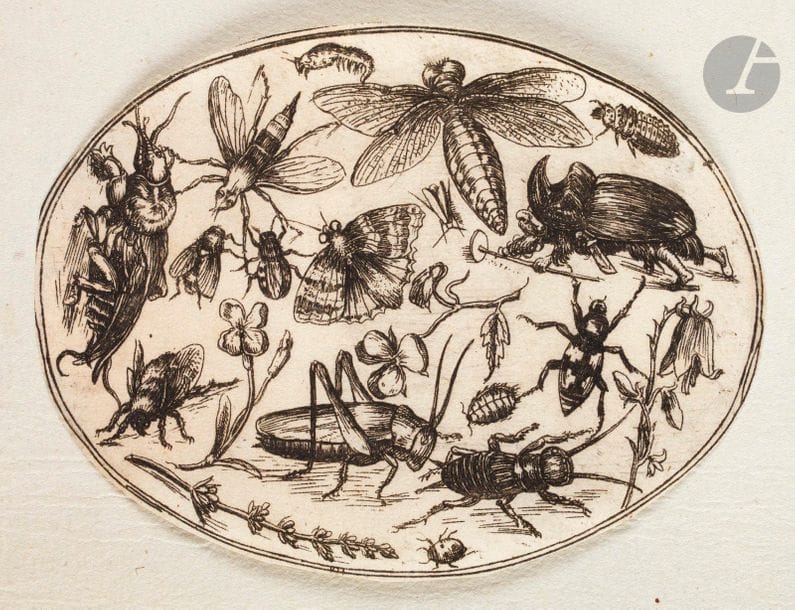 Joris Hoefnaegel (1542-1600) (attribué à) 

Neues Frucht: und Blummenbüchlein Allen Künstlern dienstlich. Réunion d’un titre et de 5 pl. Sujets ovales : 110 x 85. Belles épreuves en tirage postérieur à l’adresse de Paul Fürst. Ens. 6 p.