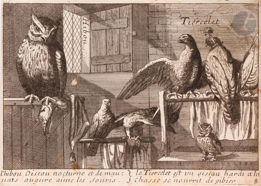 François Jollain l’Aîné (1641-1704) 

Nouveau Livre d’Oiseaux Dessignez au Naturel. 1699. Eau-forte d’après les gravures de Hollar, tirées des dessins de F. Barlow (selon la coll. Hennin le graveur serait Gérard Jollain). 202 x 162. I.F.F. 349-428. Réunion d’un titre et 16 pl. (de 2 à 18, manque la pl. 14). Bonnes épreuves, irrégulièrement rognées au trait carré, complètes de la tablette, parfois avec marges étroites. Petites salissures et rousseurs. Le titre doublé, avec déchirure consolidée au bord gauche. Ens. 17 p.