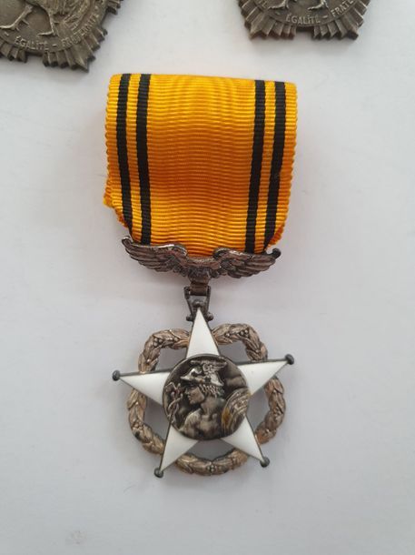FRANCE 
ORDRE DU MÉRITE POSTAL - DIVERS
Huit médailles dont chevalier du Mérite postal en argent et émail, poinçon tête de sanglier (SUP), Médaille éduction physique, médaille éducation physique et sportive, cinq médailles des collectivités locales. 
T.T.B. à SUP. 