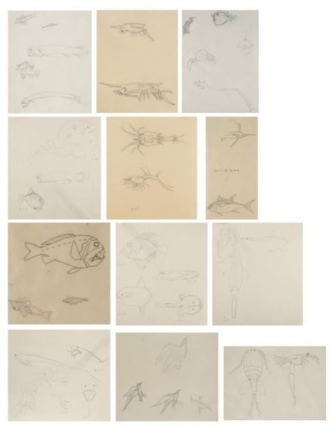 JEAN-ÉMILE LABOUREUR (1877-1943)
Études d'animaux marins: raies, requin-scie, hippocampe, crustacés, etc. Vers 1934. Dessins à la mine de plomb sur vélin mince (pages de carnet) ou sur calque. Formats divers. Ens. 12 p. dans deux cadres.