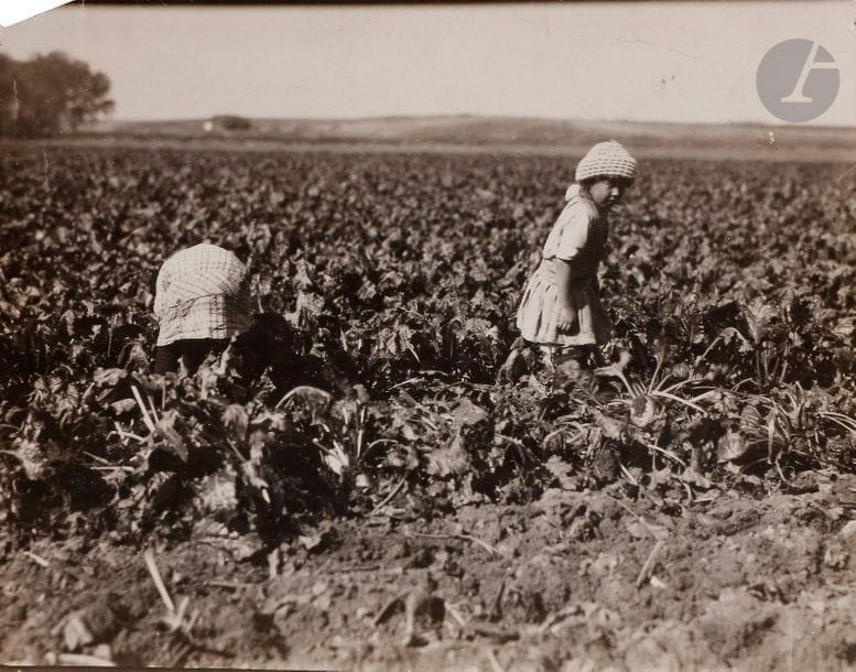 Lewis Hine (1874-1940)
Near Sterling, Colorado, October 1915.
Épreuve argentique d’époque. Tampon « N° 4000 » au verso.
12 x 15,5 cm

Lewis Hine (1874-1940)
Near Sterling, Colorado, October 1915.
Vintage gelatin silver print. Stamp "N° 4000" on verso.
12 x 15.5 cm
