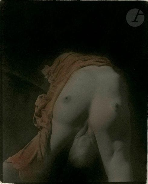 Claude Fauville (1940) 
Nu féminin, 1990. 
Michèle. 
Épreuve au platine, signée et numérotée à 3 ex. dans la marge inférieure, rehaussées au pastel gras. Négatif découpé et fixé au verso. 
Image : 29,5 x 24 cm 
Feuille : 35 x 26,5 cm

Claude Fauville (1940) 
Female nude, 1990. 
Michèle. 
Platinum print, signed in the lower margin. Edition of 3. Enhanced with bold pastel. Negative cut out and glued on verso. 
Image : 29,5 x 24 cm 
Sheet: 35 x 26.5 cm