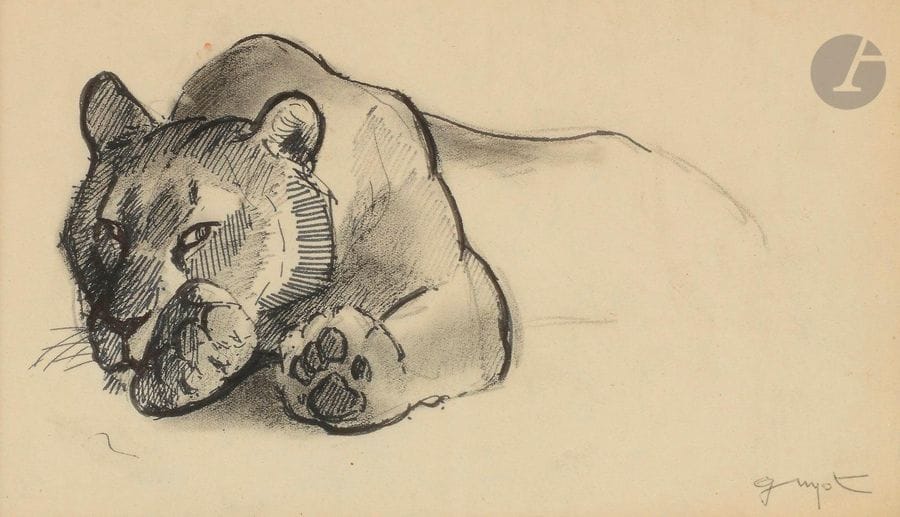Georges-Lucien GUYOT (1885-1973)
Étude de lionne
Encre, fusain et estompe.
Signée en bas à droite.
13 x 22 cm