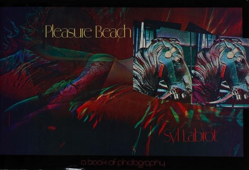 Labrot, Syl
Pleasure Beach. A book of photography. A book in three parts by Syl Labrot. Eclipse, New York, 1976. In-folio oblong (28 x 41 cm). Edition originale. Cartonnage d'éditeur sous jaquette illustrée (légères usures). Labrot, Syl Pleasure Beach. Eclipse, New York, 1976. Near fine in like dust jacket.