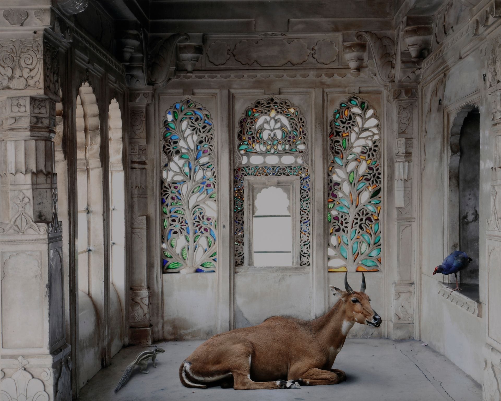 *Karen Knorr (1954)
Série India Song, 2011.
A Place like Amravati, Udaipur City Palace n°1.
Épreuve pigmentaire sur papier Hannemuhle Fine Art Pearl, contrecollée sur aluminium. Signature, titre, date et numérotation à 5 exemplaires sur étiquette contrecollée au verso du cadre.
50,8 x 63,5 cm - cadre

Karen Knorr (1954)
India Song serie, 2011.
A Place like Amravati, Udaipur City Palace n°1.
Pigment print on Hannemuhle Fine Art Pearl paper, float mounted on aluminium and framed. Signature, title, date and numbering on a label mounted on frame verso. Edition of 5 copies.
50.8 x 63.5 cm - frame