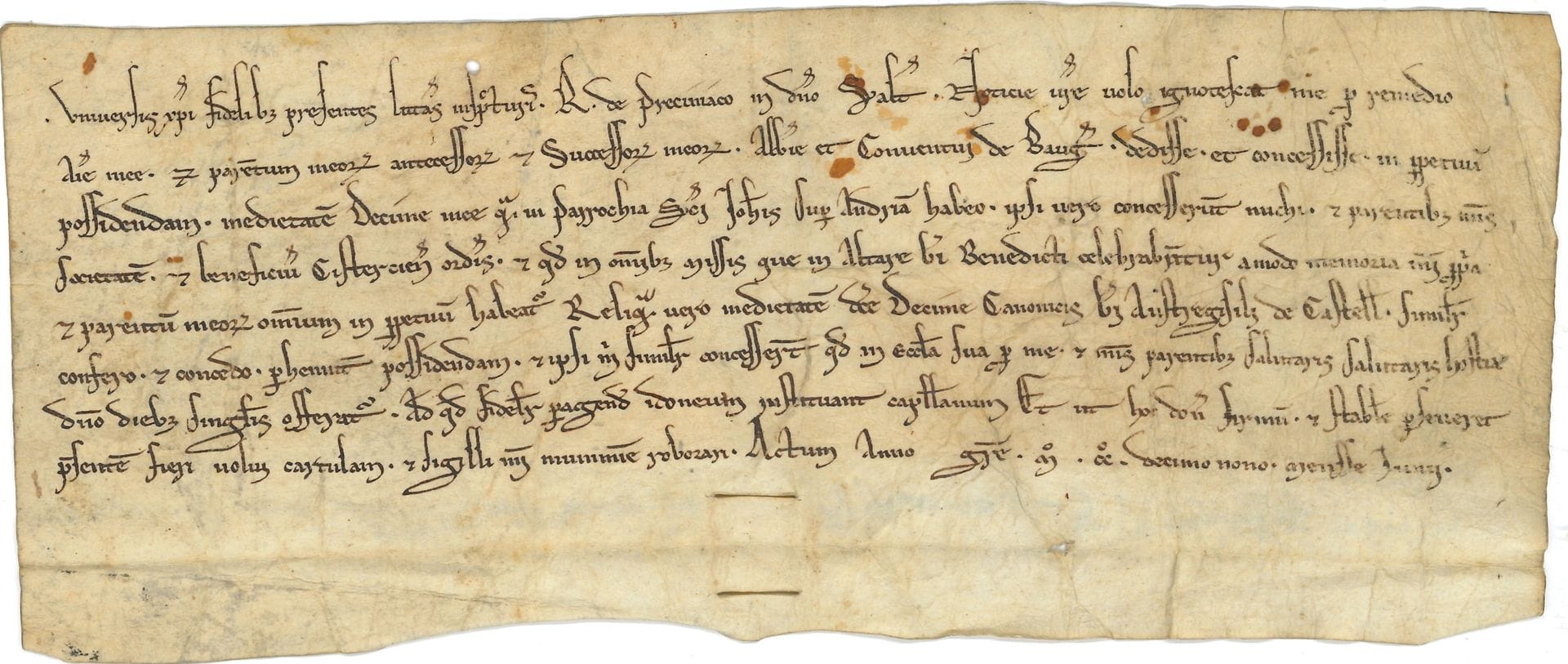 Abbaye de BEAUGERAIS. Charte, juin 1229 ; vélin 8 x 20,5 cm ; en latin.

 Donation par R. de Preciniac à l’abbaye de Beaugerais [à Loché-sur-Indrois, Indre-et-Loire], de la moitié d’une dîme qu’il possède sur la paroisse de Saint-Jean sur Indrois, à condition que soient célébrées des messes à sa mémoire et à celle de ses parents…