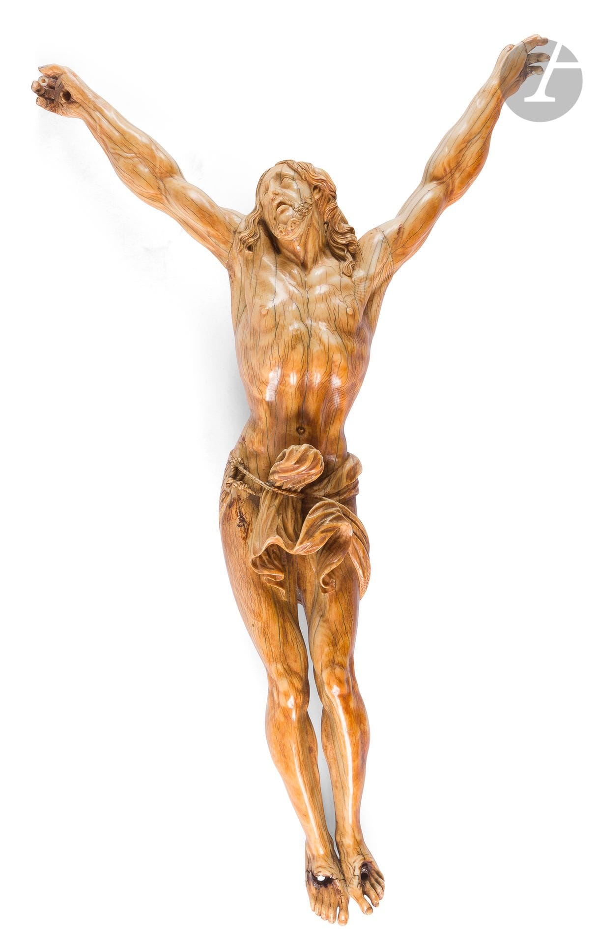 Christ vivant en ivoire sculpté. Tête levée vers le ciel, bouche entrouverte, chevelure aux mèches ondulées retombant sur les épaules, réseau veineux apparent, périzonium retenu par une cordelette, jambes et pieds parallèles.
XVIIe siècle.
H : 39 cm
Poids : 670 g.
(Quelques manques et restaurations aux doigts et au périzonium).