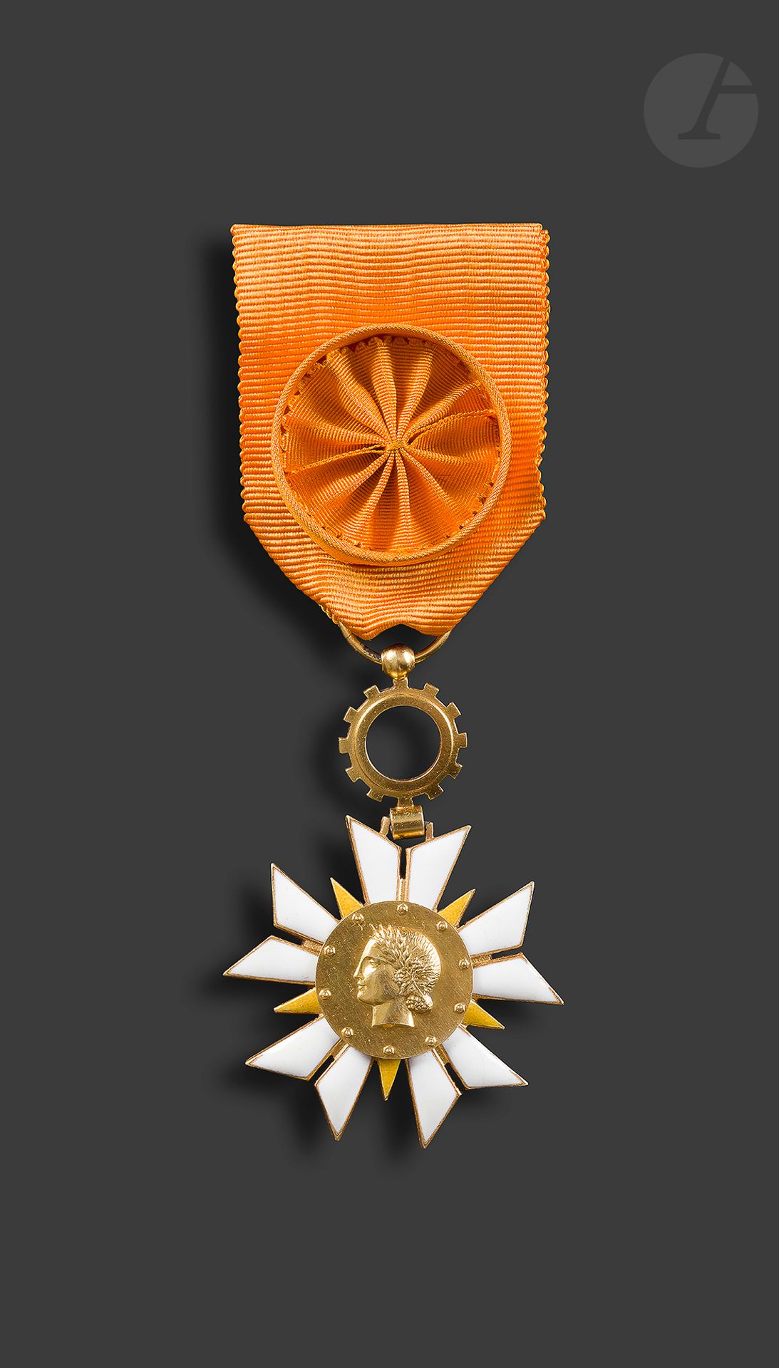 FRANCE 
ORDRE DU MÉRITE DE L’ÉCONOMIE NATIONALE 
Étoile d’officier en vermeil et émail. Ruban à rosette. Poinçon de la Monnaie de Paris
60 x 40 mm - Poids brut : 21 g
SUP.