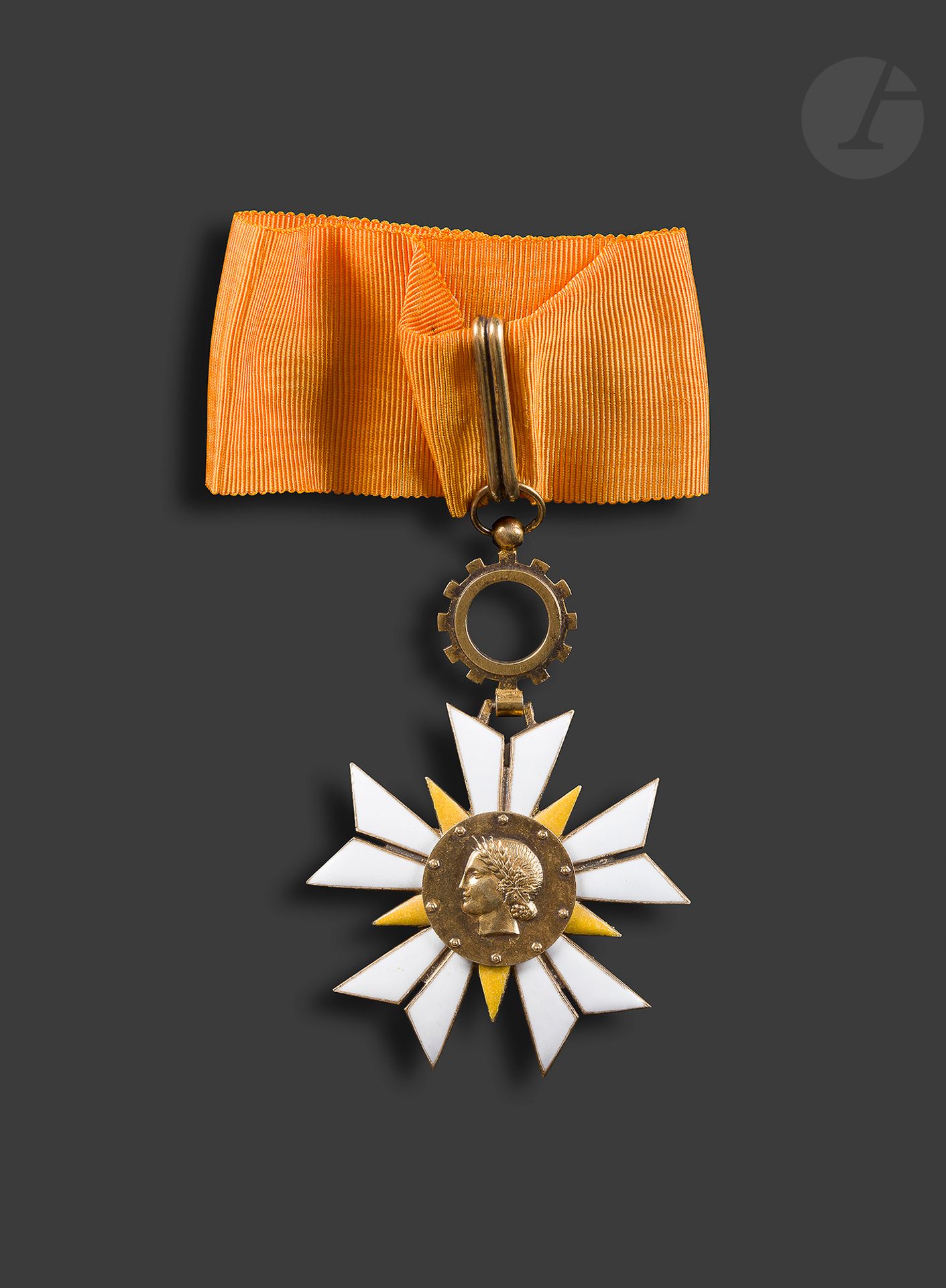 FRANCE 
ORDRE DU MÉRITE DE L'ÉCONOMIE NATIONALE 
Commander's star in vermeil and enamel. Tie. Poinçon de la Monnaie de Paris81
x 54 mm - Gross weight: 53 gSUP
.



