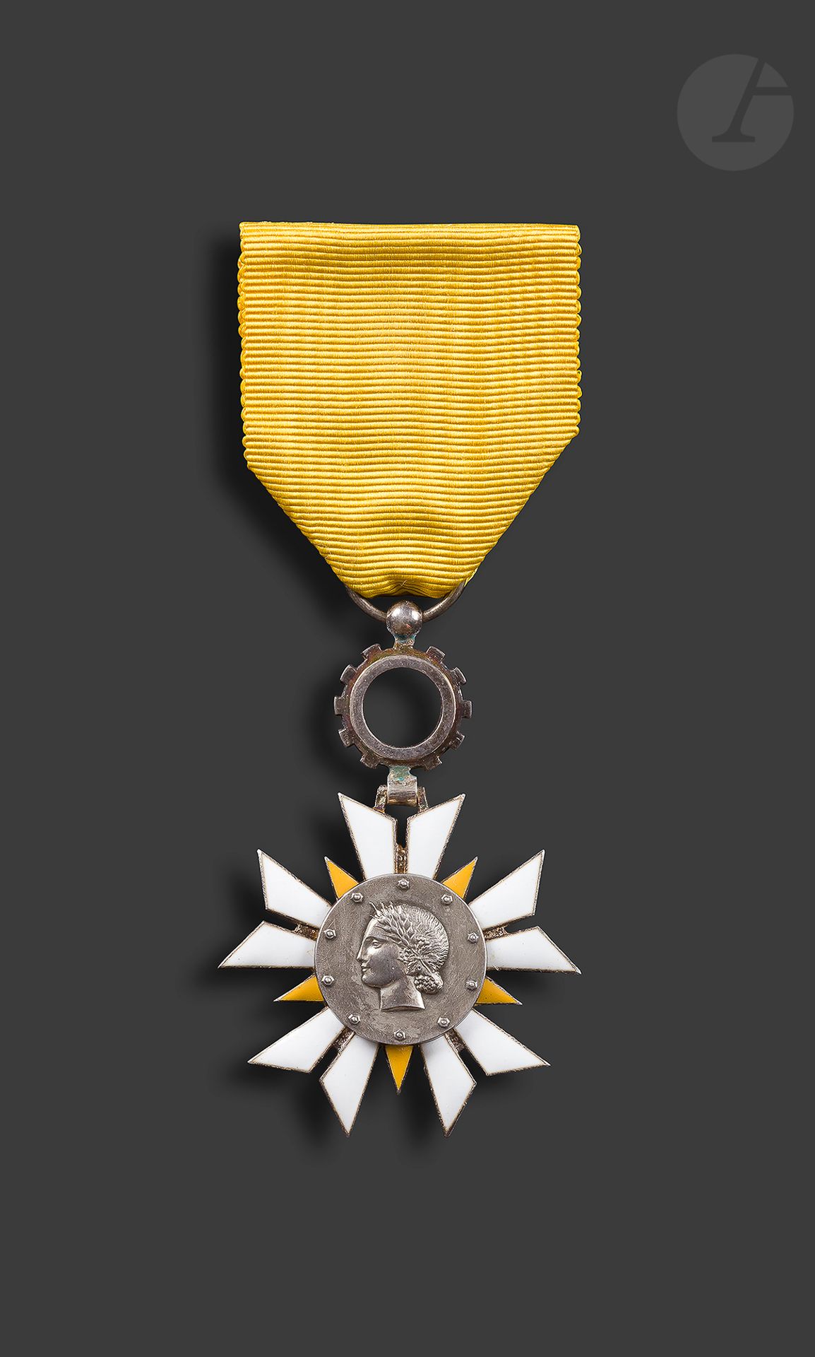 FRANCE 
ORDRE DU MÉRITE DE L’ÉCONOMIE NATIONALE 
Étoile de chevalier en argent et émail. Ruban. Poinçon tête de sanglier. 
60 x 39 mm - Poids brut : 20 g
SUP.