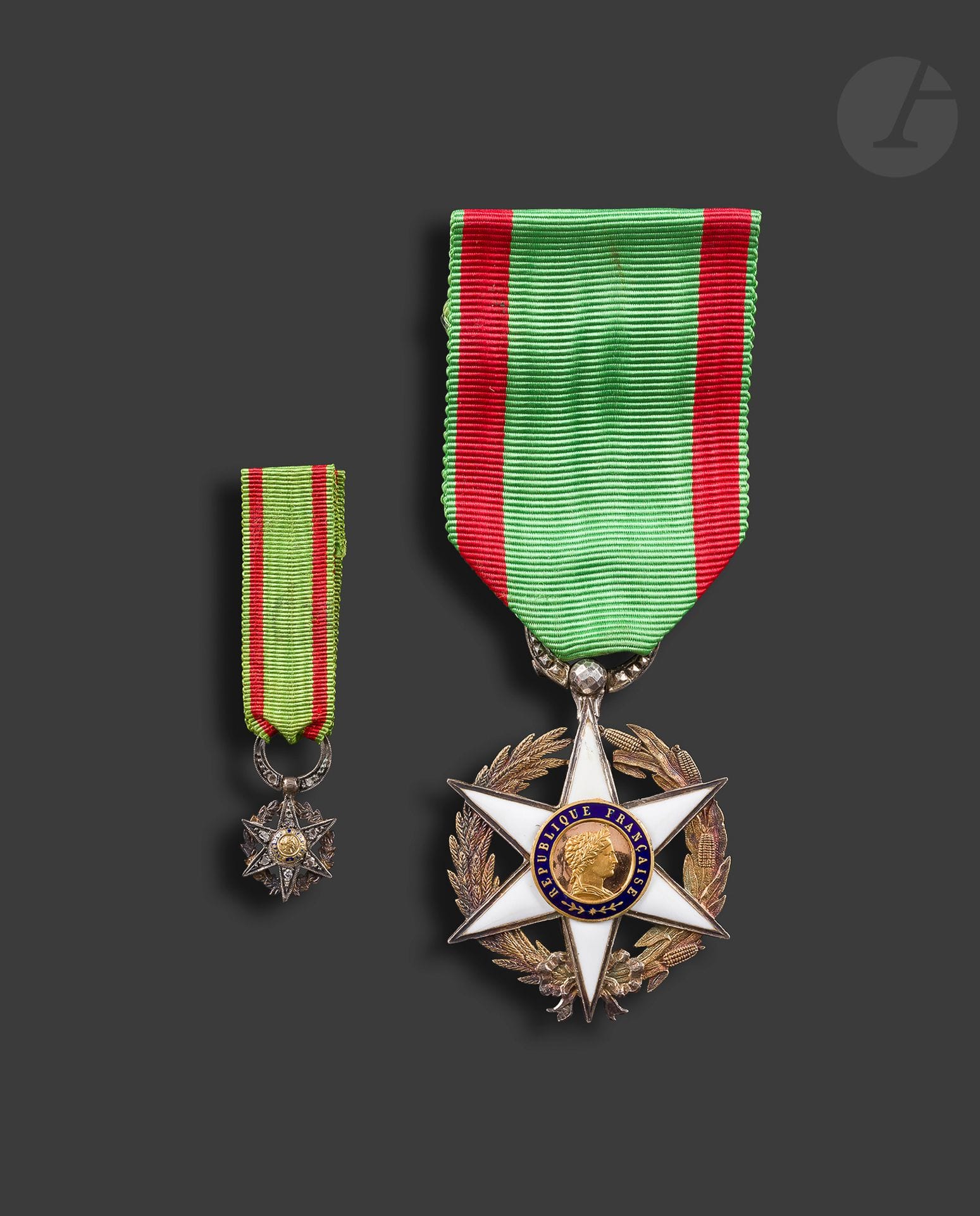 FRANCE 
ORDRE DU MÉRITE AGRICOLE
Étoile de chevalier, modèle de luxe, en vermeil et émail, centre en plusieurs parties en or. Bélière travaillée à pointes de diamant. Ruban. Poinçon tête de sanglier. 
45 x 40 mm - Poids brut : 17 g
T.T.B. à SUP.
On y joint une miniature en vermeil, brillants, or et émail (éclat), en plusieurs parties. Ruban. T.T.B.
