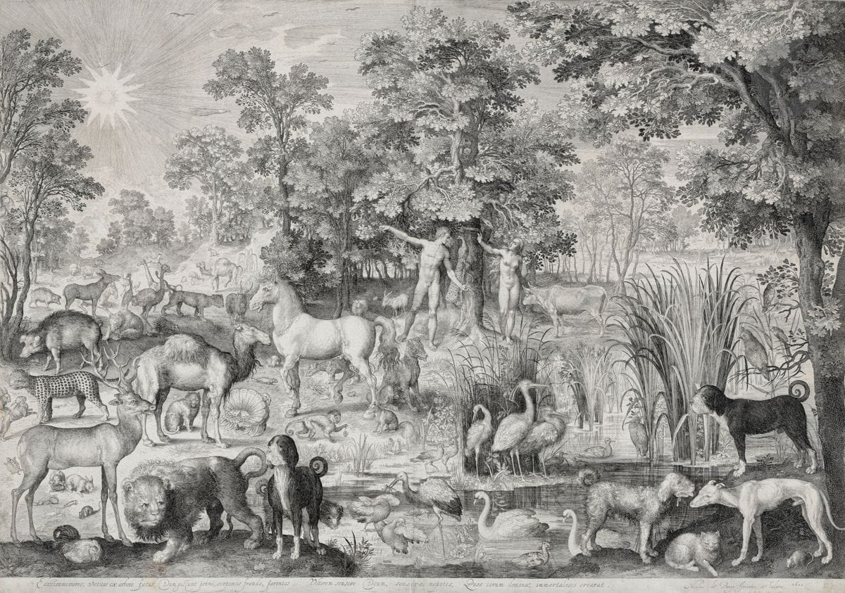 Nicolaes de Bruyn (1571-1656)
La Chute de l’Homme. 1600. Burin. 665 x 466. Le Blanc 1 ; New Hollstein 11. Belle épreuve sur vergé, du 1er état (sur 4), avant l’adresse de F. de Beusecom, rognée au sujet mais bien complète de la tablette, les traits de mise en place de la lettre encore perceptibles, soigneusement lavée et doublée sur japon pelure. Plis verticaux et horizontaux encore visibles par transparence. Le pli vertical médian de séchage (normal) renforcé au verso. Plusieurs déchirures aux bords du feuillet, habilement restaurées. Quelques infimes accrocs visibles sous la forme de points blancs dans le sujet. Petites taches rousses persistantes.