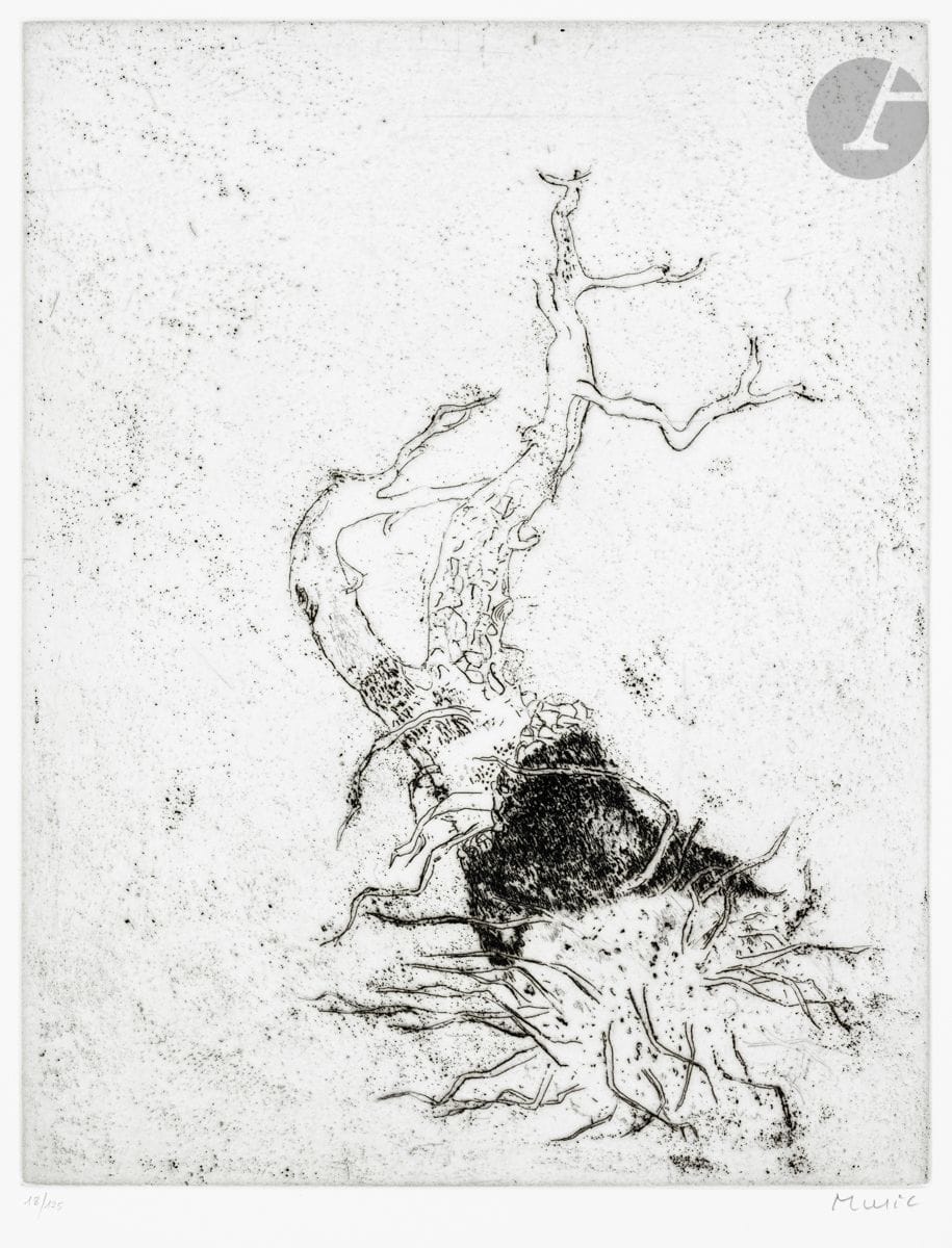 Zoran Mušič (1909-2005
)Radici I. 1985. Etching. 347 x 445. Perfect proof on vellum bench, numbered and signed in pencil. All margins. Edition of 125 proofs.
