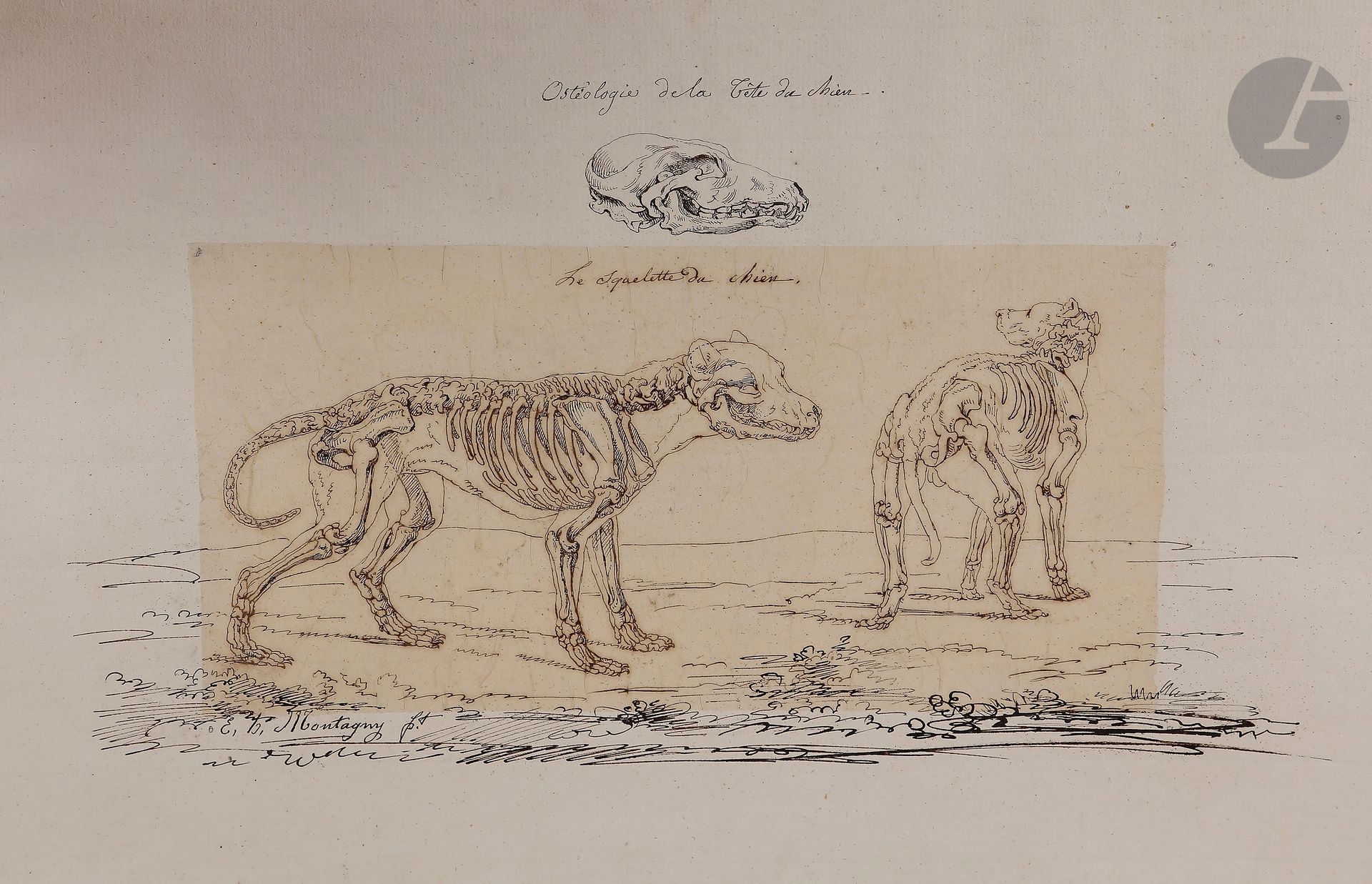 Élie Honoré MONTAGNY (Paris c,1795 - 1864)

Études de chevaux écorchés d’après des gravures anciennes - 9 études

Plume, encre brune et lavis gris sur calque doublé sur papier.

Signées.

Environ 29 x 45 cm chacune



On joint une étude de chien écorché.