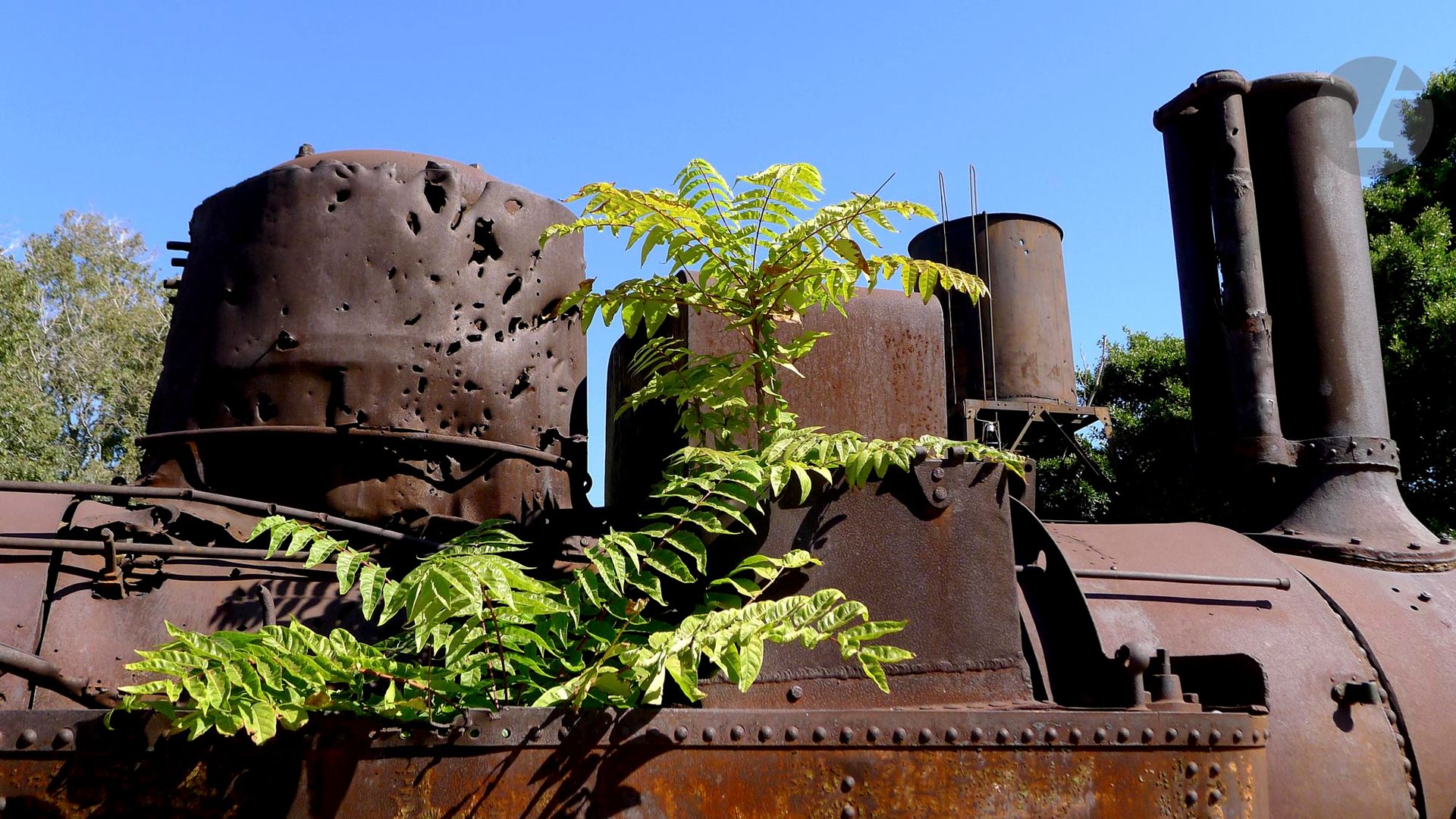 Claude MOLLARD (France, né en 1941)
Liban, gare de Beyrouth. Locomotive criblée de balles sous la renaissance de la nature, 2013
Photographie.
Signée, datée et numérotée.
Édition limitée à 7 exemplaires + 2 Épreuves d'Artiste.
32,9 x 48,3 cm

Original photograph.
Signed, dated and numbered.
Limited edition of 7 + 2 Artist's proof.

Provenance :
Atelier de l'artiste.