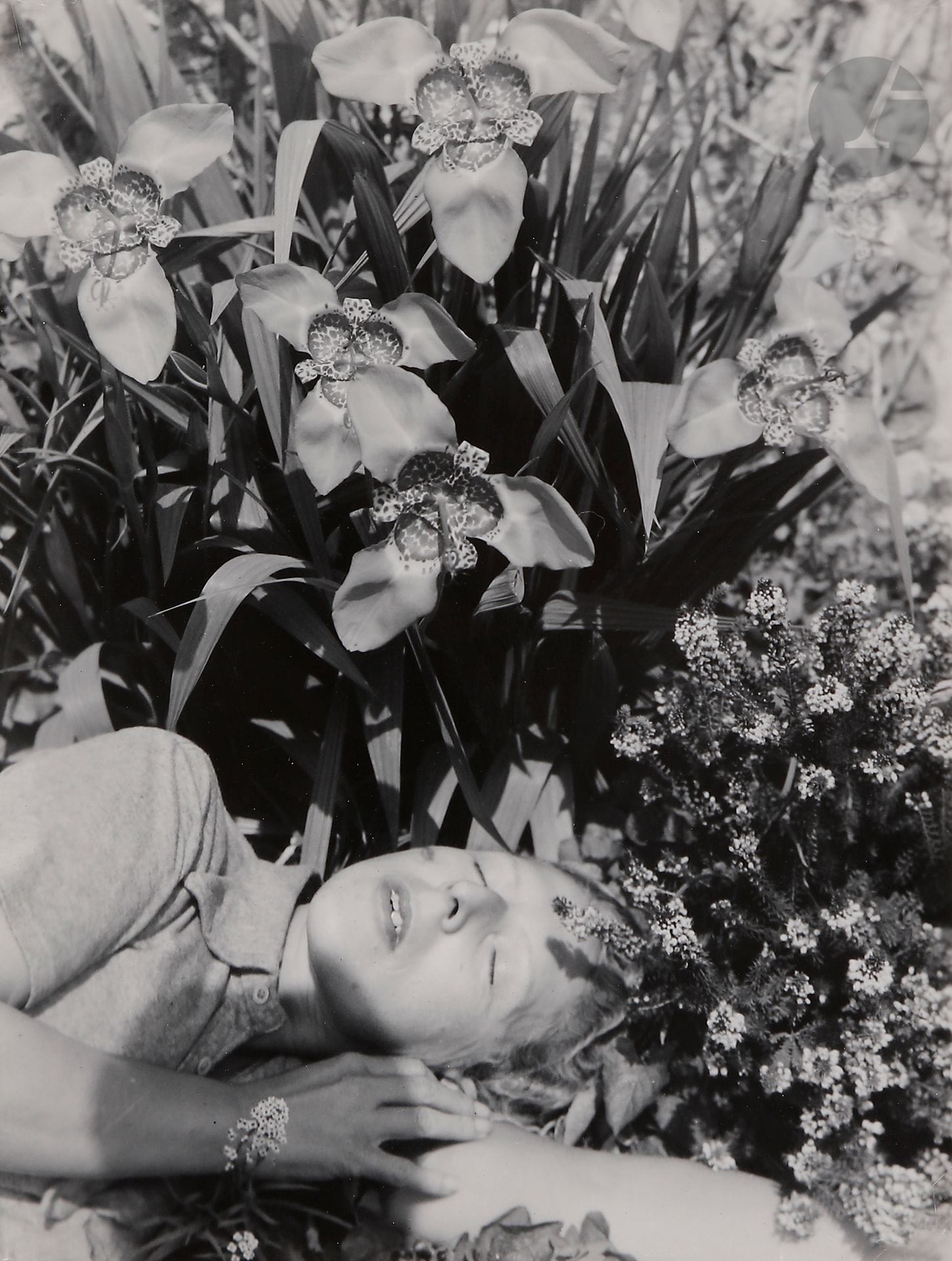 Claude Cahun (Lucy Schwob, dite) (1894-1954)
Autoportrait aux orchidées, 1939.
Épreuve argentique d’époque sur papier Velox.
Image : 10,2 x 7,8 cm
Feuille : 11 x 8,5 cm

Provenance : 
Ancienne collection Claude Givaudan.

Exposition :
- Claude Cahun photographe, Musée d’Art Moderne de la Ville de Paris, 23 juin - 17 septembre 1995, cat. expo., Éditions Jean-Michel Place / Paris Musées, Paris, 1995, p. 71, N°96.
- Le Rêve d’une ville : Nantes et le Surréalisme, Musée des Beaux-Arts de Nantes, 17 décembre 1994 - 2 avril
1995. 
- Bunuel! La Mirada del siglo, Museo Nacional Reina Sofia, Madrid, 16 juillet - 14 octobre 1996. 
Luis Bunuel, Museo del Palacio de Bellas Artes, Mexico, 4 décembre 1996 - 2 mars 1997. 
- El Rostro Velado, Kulturunea, San Sebastien, 13 juin - 7 septembre 1997. 
- La femme, métamorphose de la modernité, Fondation Joan Miro, Barcelone, 25 novembre 2004 - 6 février 2005, p. 41. 
- Claude Cahun, Jeu de Paume, Paris, 24 mai - 25 septembre 2011 / Centre de la Imatge, Virreina (Barcelone), 7 octobre 2011 - 29 janvier 2012  Art Institute, Chicago, 25 février - 3 juin 2012. 

Bibliographie : 
- François Leperlier, Claude Cahun, l’écart et la métamorphose, Éditions Jean-Michel Place, Paris, 1992, p. 141. 
- Dirk Snauweart - François Leperlier - Laura Cottingham - Peter Weibel, Claude Cahun Bilder, Kunstverein München, Schirmer / Mosel, 1997, p. 122, N°96. 
- La dona, metamorfosi de la modernitat, Fondation Joan Miro, BBVA, 2005, p. 41.

 Cet autoportrait, réalisé en 1939 à Jersey, est comme tous les autres, l’œuvre de la collaboration entre Claude Cahun et Marcel Moore (Suzanne Malherbe), laissée très longtemps en retrait de sa compagne par la critique. L’ombre de l’auteure de la prise de vue à l’intérieur du portrait thématise la double subjectivité créatrice du couple à travers un seul et même être bicéphale. On retrouve à la fois le symbolisme des débuts, inspirés par la figure tutélaire de l’oncle de Claude Cahun, l’écrivain symboliste Marcel Schwob, et le passage au surréalisme opéré dans les années 1920, marqué dans cette image par les yeux clos en écho à ceux des photomatons du groupe surréaliste. La forme même des orchidées, très proche du narcisse, évoque les poèmes d’Aveux non avenus, publiés en 1930, très fortement imprégnés de l’onirisme surréaliste. Celui du monde intérieur vers où nous mènent ces yeux clos. Dans les photomontages d’ailleurs, les formes de l’orchidée se retrouvent dans certains motifs : bouches, étoiles, pétales, évocation du sexe féminin… L’univers floral de cette image évoque aussi bien sûr celui des poèmes de Lise Deharme dans Le Cœur de Pic publié en 1933 mais aussi l’œuvre graphique de Marcel Moore des années 1920. C’est à la veille d’un conflit mondial majeur que le couple Cahun-Moore cristallise dans cette mise en scène leur fusion créatrice et le rappel de nombreuses années de productions artistiques et littéraires foisonnantes. «Portrait de l’un ou de l’autre, nos deux narcissismes s’y noyant, c’était l’impossible réalisé en un miroir magique. » Aveux non avenus, 1930.

Claude Cahun (Lucy Schwob, known as) (1894-1954)
Self-portrait with Orchids, 1939.
Vintage gelatin silver print on Velox paper.
Image: 10.2 x 7.8 cm
Paper: 11 x 8.5 cm

Provenance: former Claude Givaudan collection.