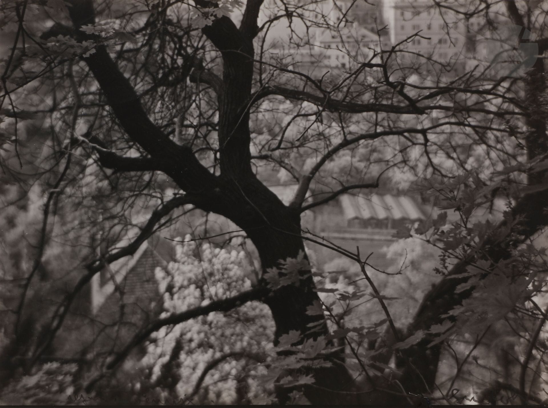 Josef Sudek (1896-1976) 
Prague, c. 1965. 
Le jardin du monastère de Strahov depuis la colline Petrin. 
Épreuve argentique d’époque, signée et titrée au crayon en bas. 
17 x 22,7 cm

Josef Sudek (1896-1976) 
Prague, c. 1965. 
The garden of Strahov Monastery from the Petrin Hill. 
Vintage gelatin silver print, signed and titled in pencil on print bottom. 
17 x 22.7 cm