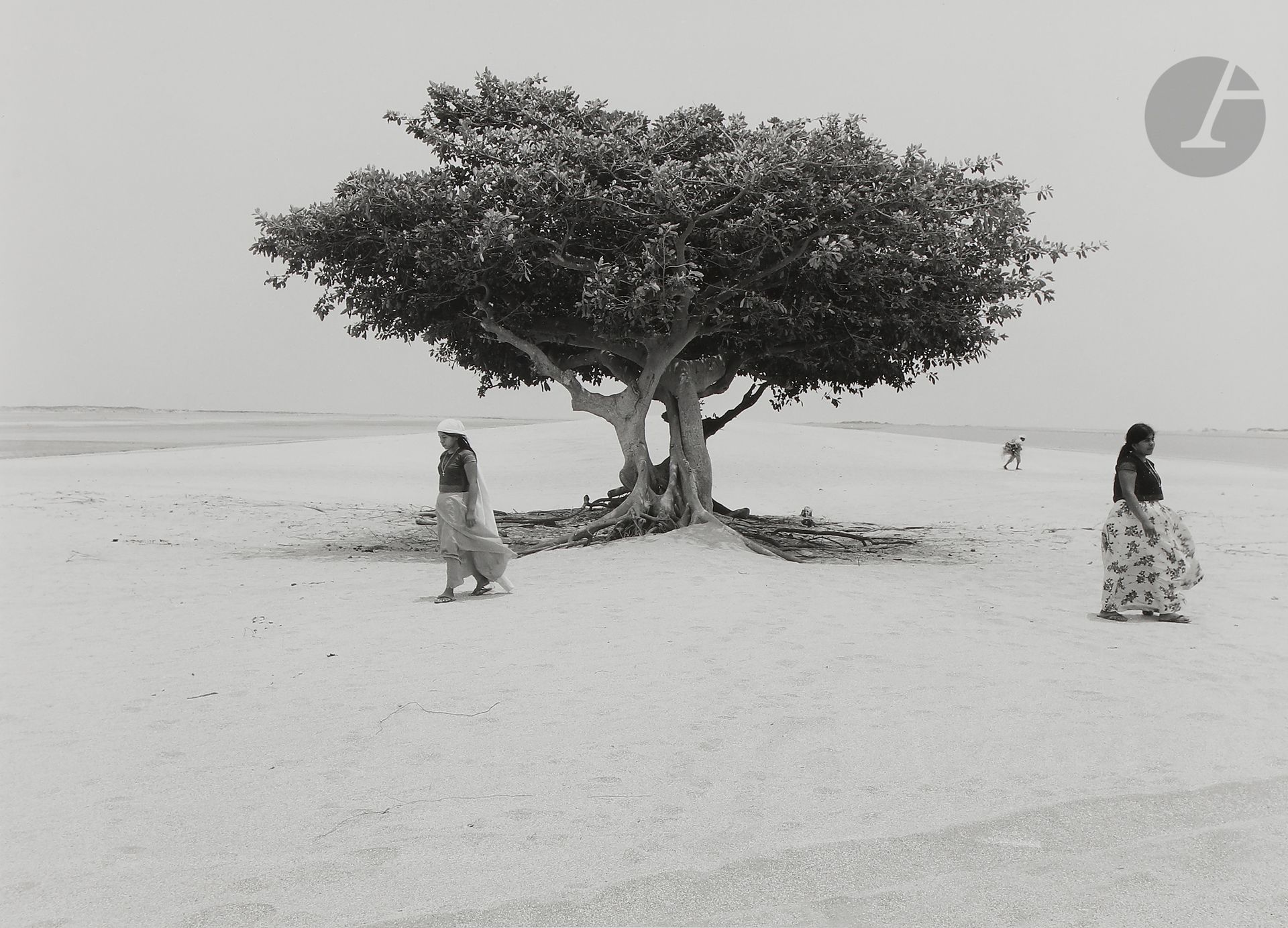 Flor Garduño (1957)
San Mateo del mar, Mexico, 1983. 
Arbol de la vida. 
Épreuve argentique (2002), signée, titrée et datée au verso. 
Image : 32,5 x 45 cm 
Feuille : 40,5 x 50,5 cm

 Bibliographie : 
Flor Garduno, Witness of time, Thames and Hudson, New York, 1993, n. p. 

Flor Garduño (1957)
San Mateo del mar, Mexico, 1983. 
Arbol de la vida. 
Gelatin silver print (2002), signed, titled and dated on verso. 
Image: 32,5 x 45 cm 
Paper: 40,5 x 50,5 cm