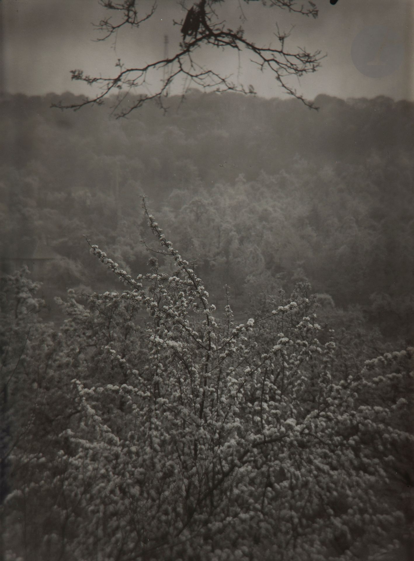 Josef Sudek (1896-1976)
View of spring from our street, 1973. 
Deux (2) épreuves argentiques d’époque, signées au crayon dans la marge inférieure à droite.
Images : 23,3 x 17,2 et 23,5 x 17,5 cm 
Feuilles : 29 x 22,5 et 29,4 x 23 cm 

Provenance : 
De l’artiste à Josef Ullrich et Maria Ullrichova, Prague - collection particulière, Paris.

Josef Sudek (1896-1976)
View of spring from our street, 1973. 
Two vintage gelatin silver prints, signed in pencil in the lower right margin.
Images: 23.3 x 17.2 and 23.5 x 17.5 cm 
Paper: 29 x 22.5 and 29.4 x 23 cm
