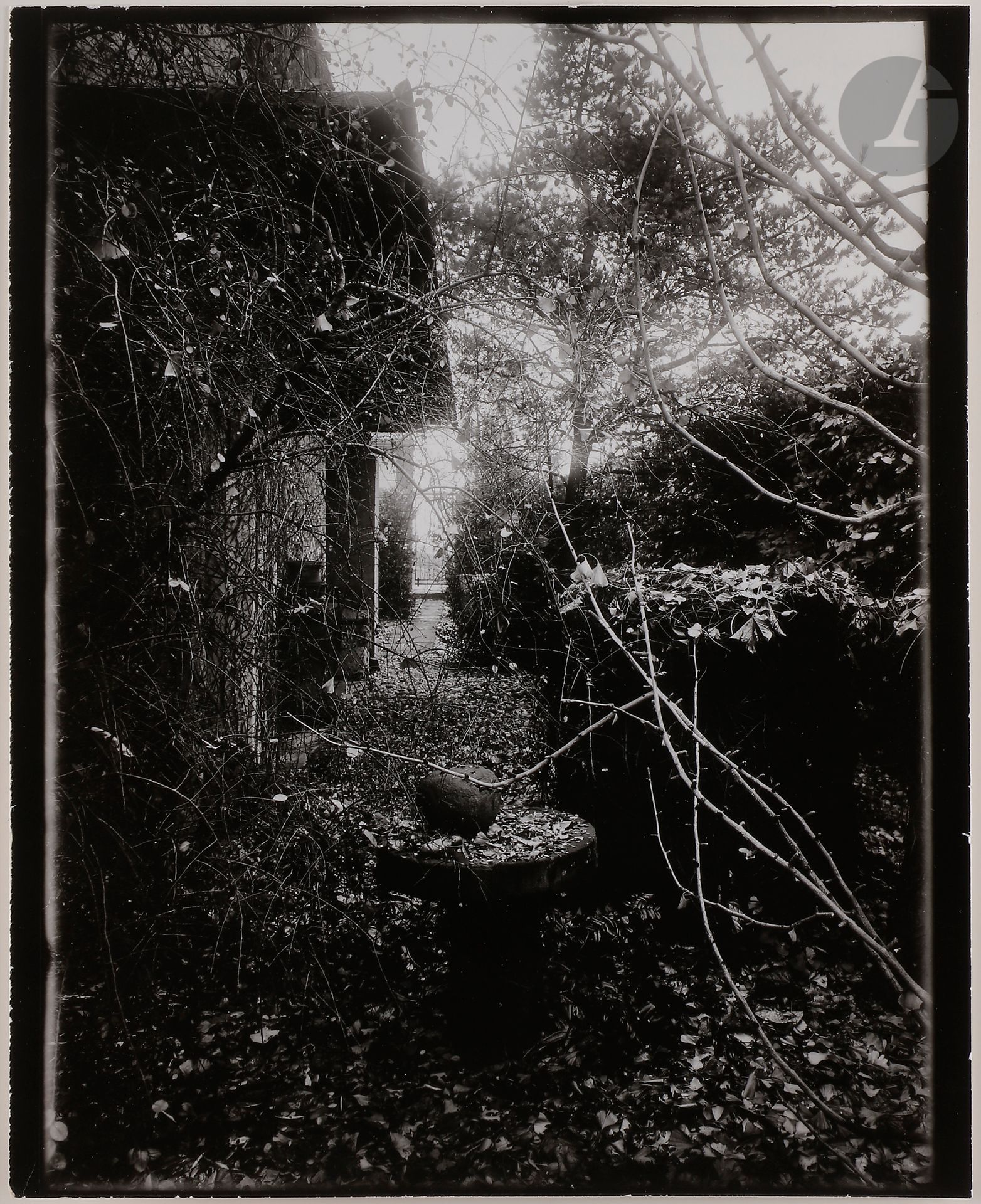 Josef Sudek (1896-1976) 
Jardin, c. 1950-1960.
Épreuve argentique (c. 1960). Annotations manuscrites de la main de Petr Helbich (assistant de Josef Sudek) au verso.
23,5 x 19 cm

Josef Sudek (1896-1976) 
Serie Notes, c. 1950-1960. 
View of Prague Castle. 
Vintage gelatin silver print, signed in the lower right margin. Handwritten annotations by Jan Strimpl (assistant to Josef Sudek) on verso.
Image: 4,5 x 5,3 cm
Paper: 8,6 x 10,5 cm