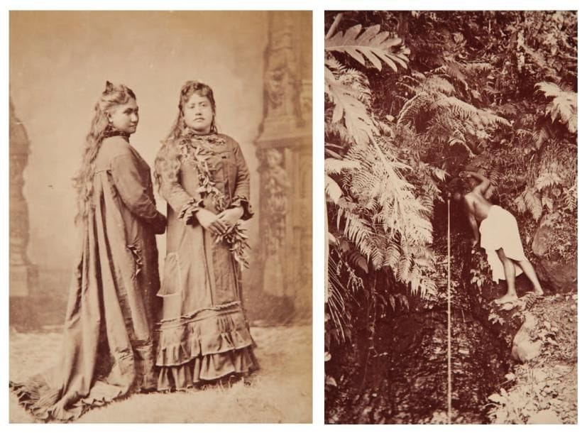 Îles du Pacifique, c. 1870. Australie. Nouvelle Calédonie. Tahiti. Nouvelle Zélande.  Portfolio contenant 142 épreuves sur papier albuminé, contrecollées sur planches (24). Formats : de 9,5 x 5,5 à 19,5 x 25,5 cm. 