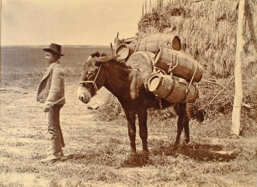 Benito Panunzi (1819-1894)
Argentine, c. 1866. Jeune paysan italien dans la pampa. Epreuve sur papier albuminé. 18 x 24,2 cm. Bibliographie : Buenos Aires. Ciudad y Campaña. Fotografias de Esteban Gonnet, Benito Panunzi y otros. 1860/1870, Ediciones Fundacion Antorchas, 2000. Image inconnue jusqu'à aujourd'hui. 