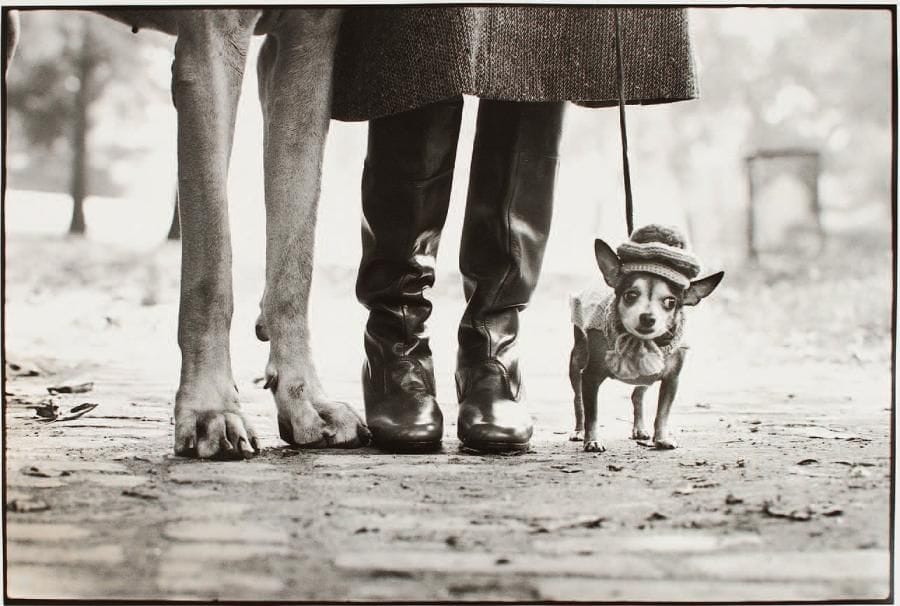 Elliot Erwitt (né en 1928)
New York City, 1974. Epreuve argentique (c. 1990), signée dans la marge inférieure. Signature et titre manuscrit au verso. 50,5 x 60,5 cm avec les marges. 