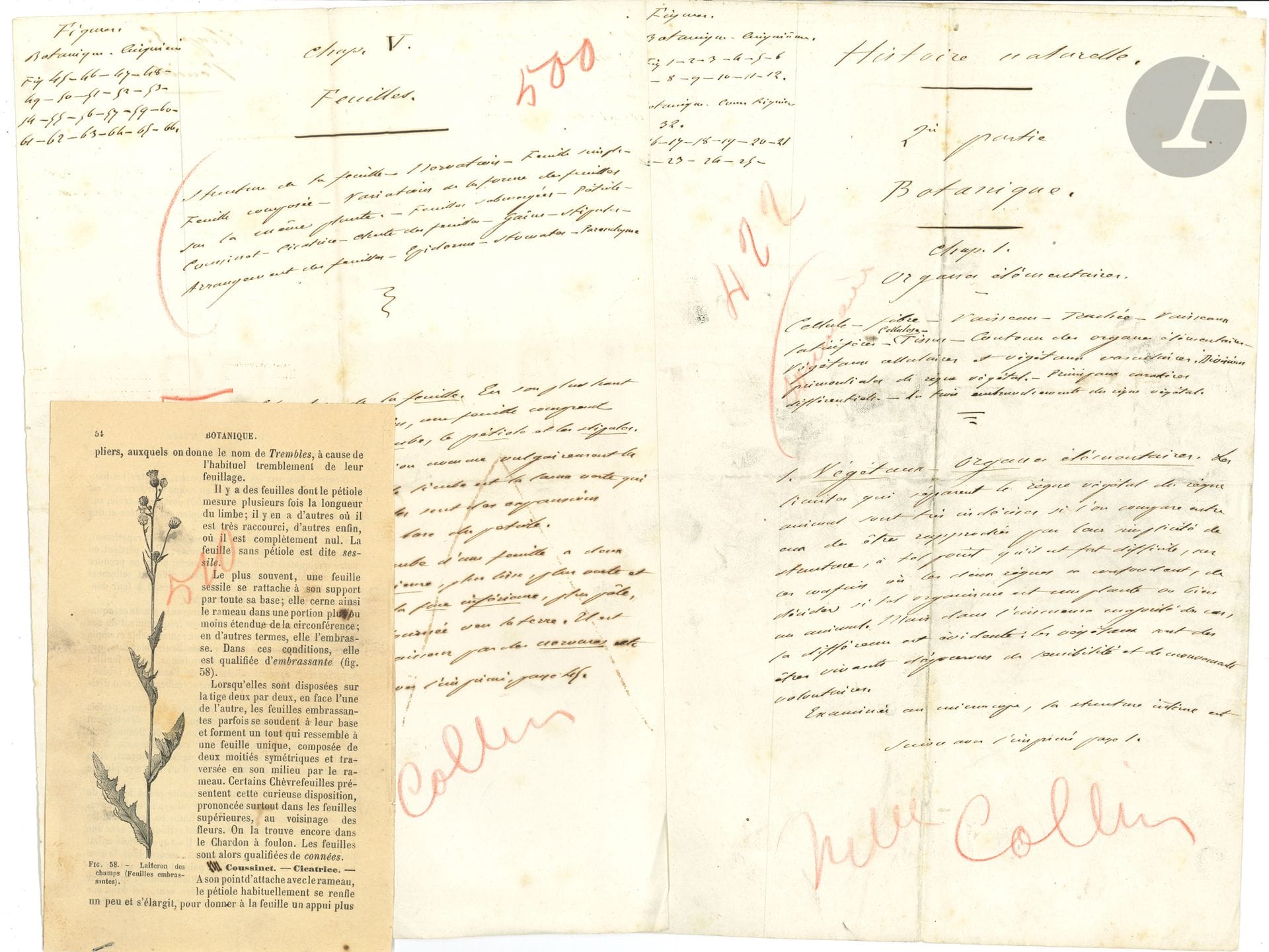 Jean-Henri FABRE (1823-1915) entomologiste. Manuscrit en partie autographe Histoire naturelle. 2ème partie Botanique ; 60 pages in-fol. et 110 feuillets imprimés recto-verso (in-12 et in-8), certains découpés, glissés ou collés dans le corps du texte.
Préparation d’un manuel scolaire, reprenant en grande partie le texte de ses ouvrages Cours élémentaire de Botanique et Botanique (Delagrave, 1874), en 22 chapitres, avec additions autographes, suppressions et corrections, ayant servi pour l’impression (marques de l’imprimeur). I. Organes élémentaires. II Tiges. III Racine. IV Bourgeons. V Feuilles. VI. Nutrition des végétaux. VII Respiration des végétaux. VIII Mouvements des Feuilles. IX La Fleur. X Inflorescence. XI. Origine des Organes floraux. XII Calice et Corolle. XIII Etamine et pistil. XIV Fonction du pollen. XV Le Fruit.  XVI La Graine. XVII Classification du règne végétal. XVIII. Dicotylédones gamopétales. XIX. Dicotylédones dialypétales. XX. Dicotylédones apétales. XXI. Monocotylédones. XXII. Acotylédones ou Cryptogames.