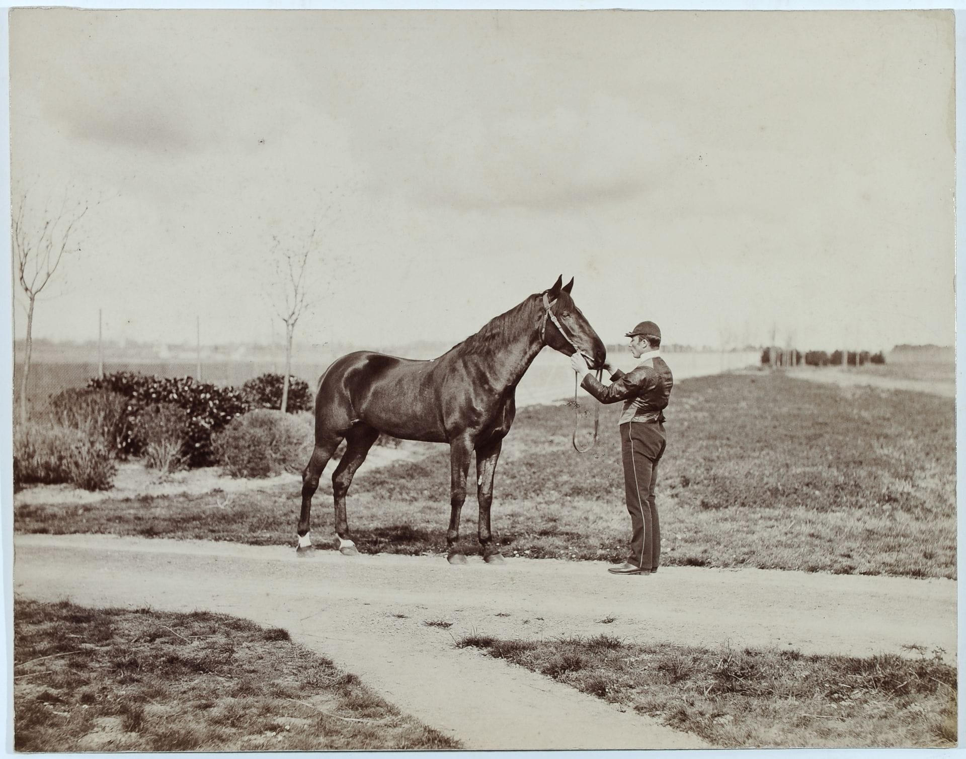 Photographe non identifié 
Jockey et son cheval, c. 1875. 
Épreuve sur papier albuminé, contrecollée sur carton. 
22 x 28 cm 

Unidentified photographer 
Jockey and his horse, c. 1875. 
Albumen print, mounted on cardboard. 
22 x 28 cm