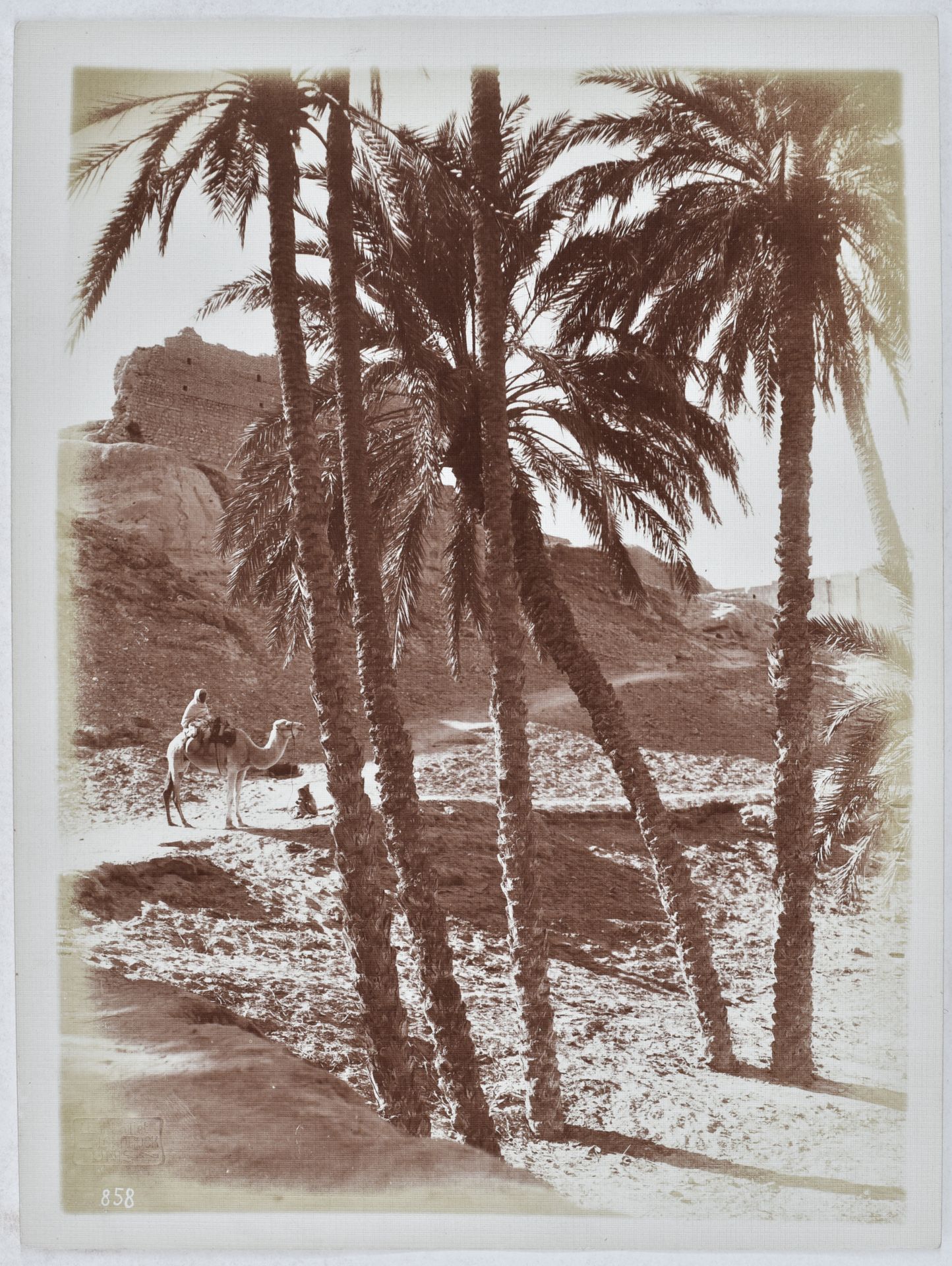 Rudolf Franz Lehnert (1878-1948) & Ernest Heinrich Landrock (1878-1966)
Palmeraie. Tunisie, c. 1905. 
Épreuve argentique d'époque. Timbre sec des photographes en bas à gauche de l'épreuve. Tampon des photographes au verso. 
23,8 x 17,9 cm 

Rudolf Franz Lehnert (1878-1948) & Ernest Heinrich Landrock (1878-1966)
Palm grove. Tunisia, c. 1905. 
Vintage gelatin silver print. Photographers' blind stamp in the lower left corner. Photographers' stamp on verso. 
23.8 x 17.9 cm