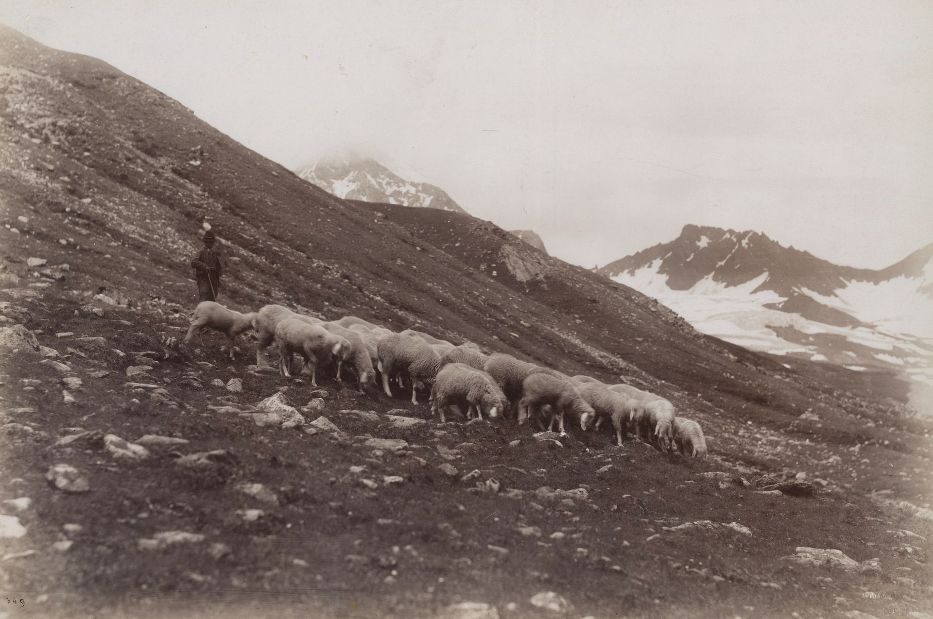 Vittorio Sella (1859-1943) 
Lombardie, Haute Valteline, c. 1885. 
Pâturage. 
Épreuve sur papier albuminé, contrecollée sur carton. Timbre sec du photographe en bas à droite de l'épreuve. Annotations manuscrites et tampons au verso du montage. 
25 x 37,8 cm 

Vittorio Sella (1859-1943) 
Lombardy, Upper Valtellina, c. 1885. 
Pasture. 
Albumen print, mounted on cardboard. Photographer's blind stamp in the lower right corner. Handwritten annotations and stamps on verso. 
25 x 37,8 cm