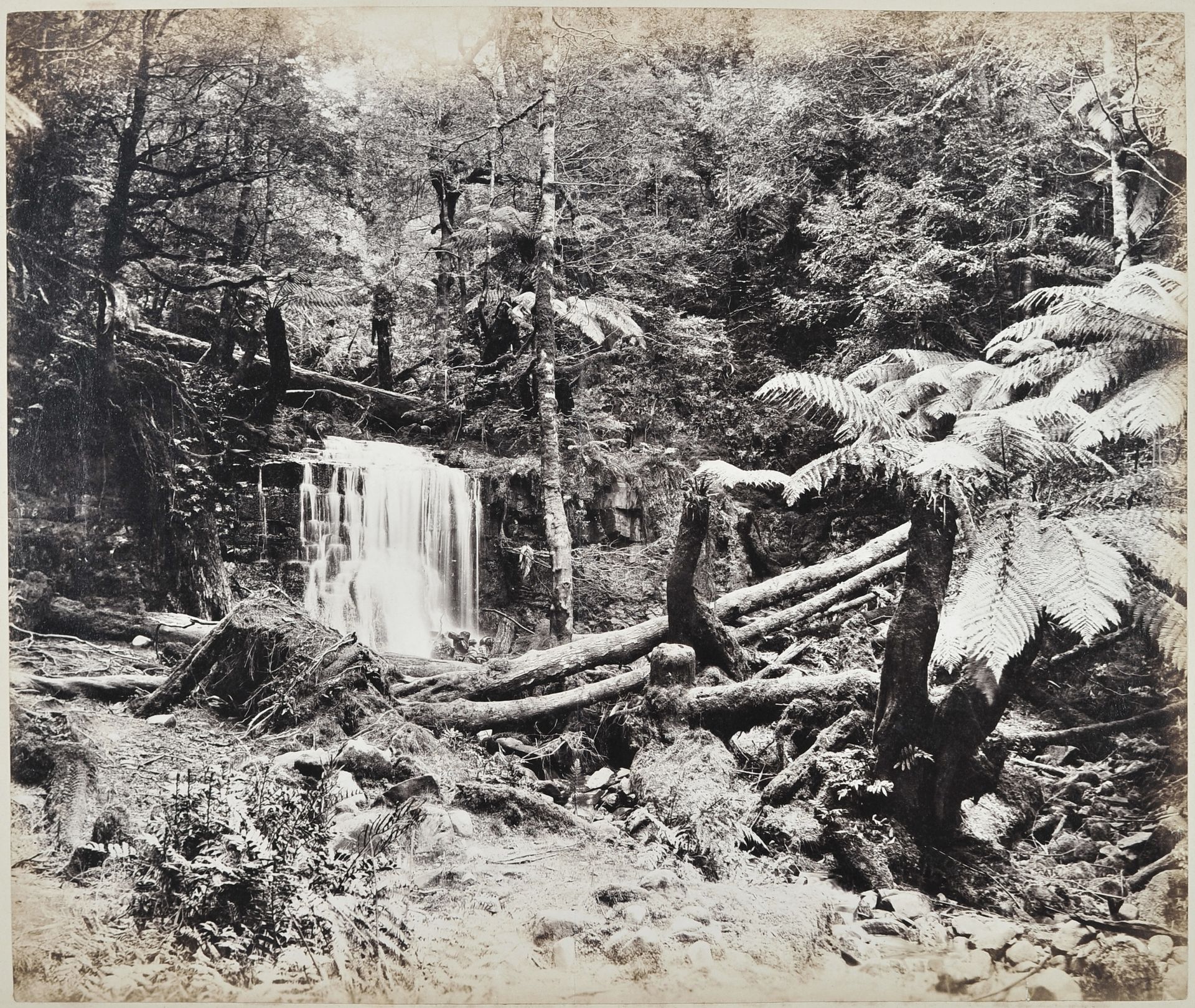 Photographe non identifié 
Hobart. Tasmanie, c. 1880-1890. 
Fern Tree Bower, Silver falls.
Épreuve sur papier albuminé, contrecollée sur carton. Deux épreuves sur papier albuminé (Dunedin, Nouvelle-Zélande), contrecollées au verso du montage. 
27,5 x 32,5 cm 

Unidentified photographer 
Hobart. Tasmania, c. 1880-1890. 
Fern Tree Bower, Silver falls.
Albumen print, mounted on cardboard. Two albumen prints (Dunedin, New Zealand), mounted on verso. 
27.5 x 32.5 cm