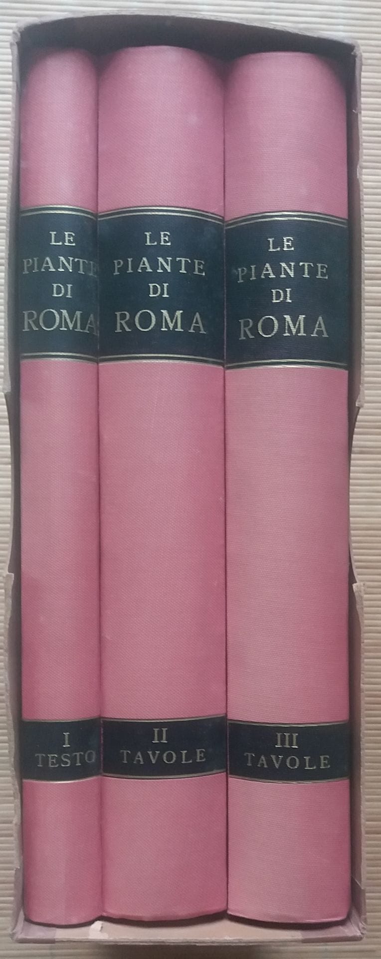 [ART - ROME]
1 ouvrage en 3 tomes.

*Le Piante di Roma.
A cura di Amato Pietro Frutaz.
Societa Generale Immobiliare, Roma, 1962. 
3 forts volumes en italien. Reliure en tissu rouge avec titre doré au 1er plat et sur le dos. Sous étui de l'éditeur.
Volume 1 : Testo. 360 pp.
Volume 2 : Tavole (dal secolo III D.C. all'anno 1625). 322 planches dépliantes.
Volume 3 : Tavole (dal anno 1630 all'anno 1962). 362 planches dépliantes ou à pleine page.