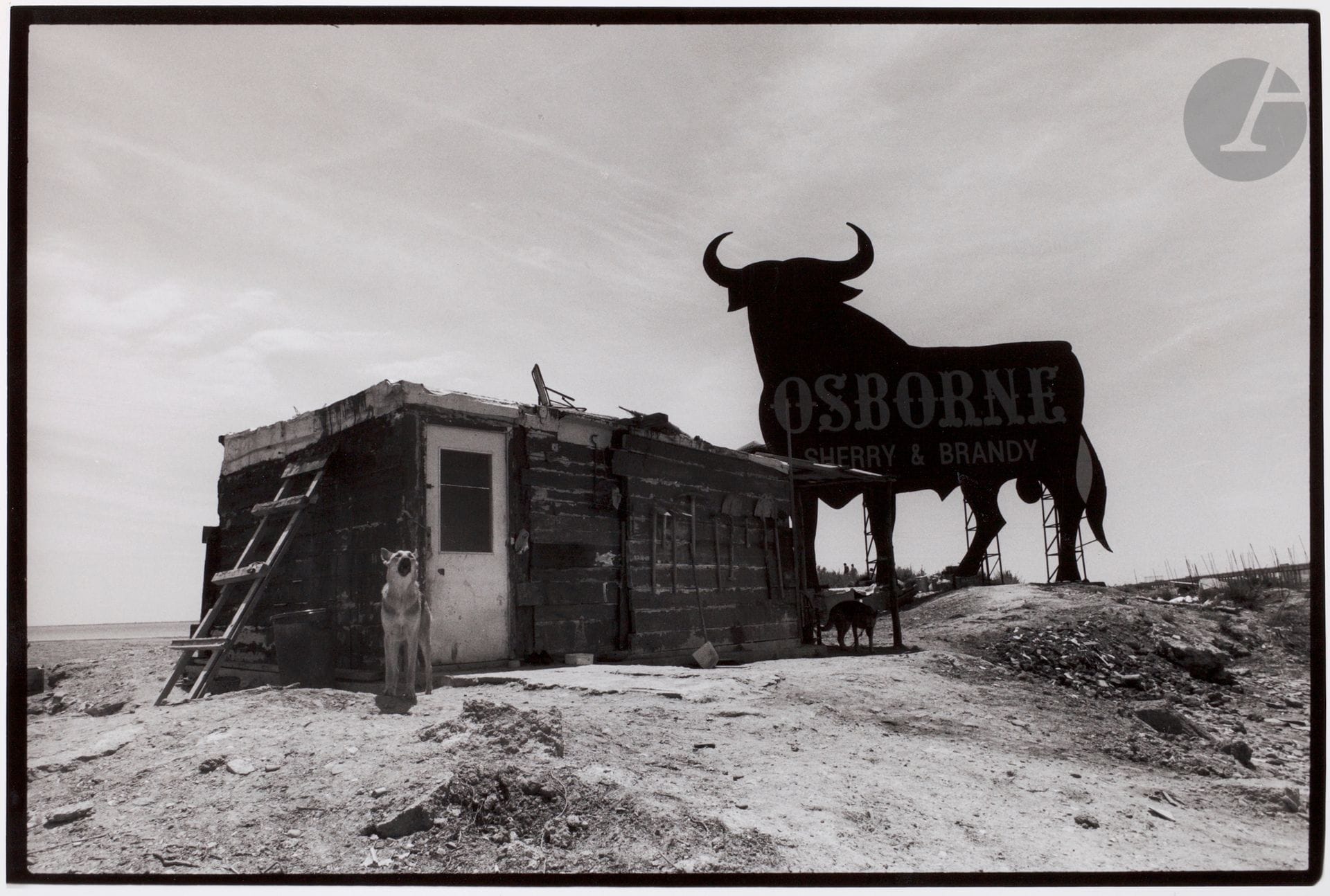 Joan Guerrero (1940) 
Puerto Real. Cadiz, 1980. 
Silver print (c. 1990), signed in pencil in the lower right margin and on the mat. Stamped "Fotograf Joan Guerrero", title and date in ink on verso. 
Image: 26 x 38.5 cm 
Sheet: 30.5 x 40.5 cmJoan

Guerrero (1940)
Puerto Real. Cadiz, 1980.
gelatin silver print (c. 1990), signed in pencil in the lower right margin and on the mat. Stamped "Fotograf Joan Guerrero", title and date in ink on verso.
Image: 26 x 38.5 cmPaper
: 30.5 x 40.5 cm









