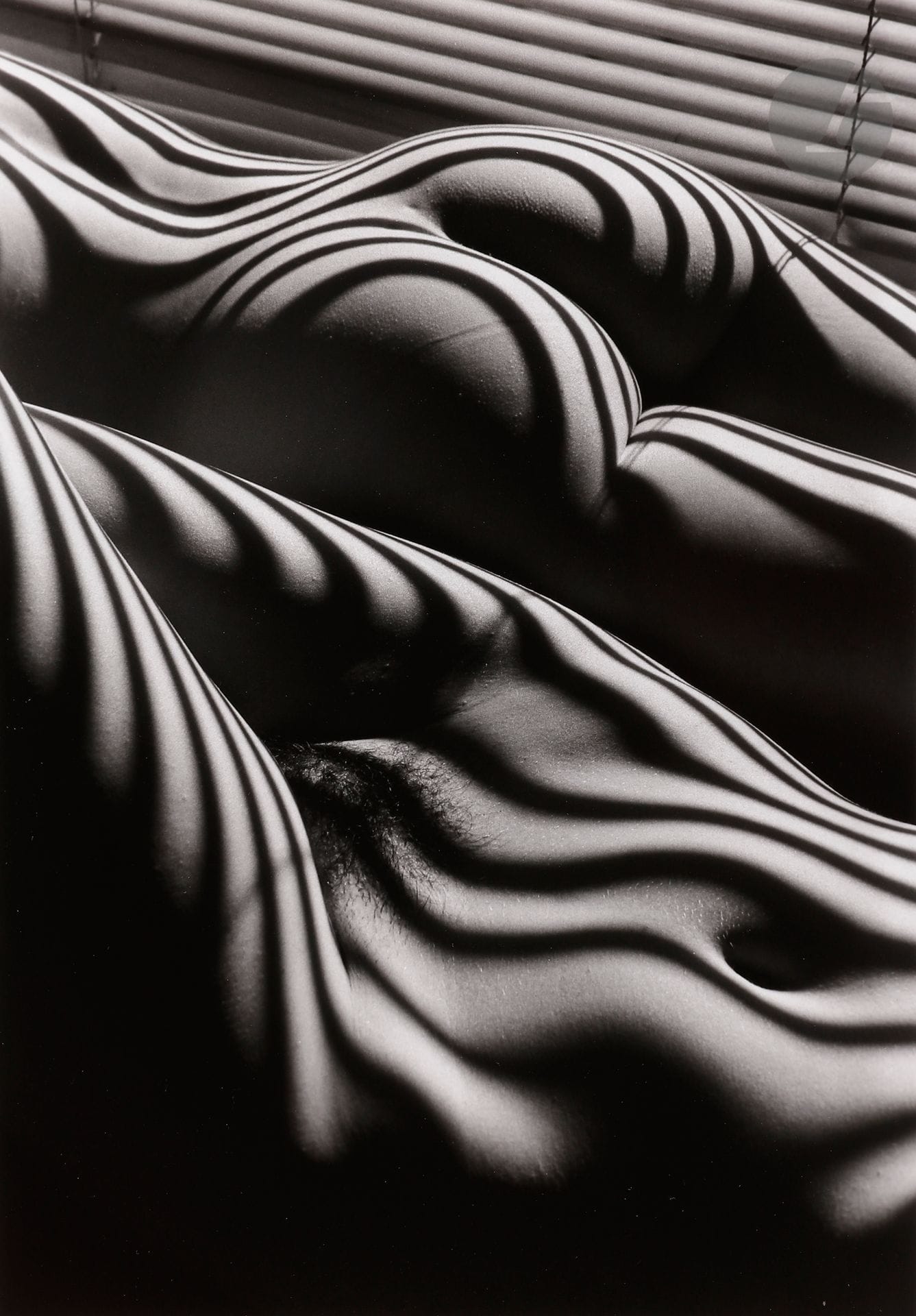 Lucien Clergue (1934 - 2014) 
Deux nus zébrés. New York, 2005. 
Épreuve argentique d’époque (2006), signée à l’encre dans la marge inférieure à droite. Signature du photographe, titre, dates, numéro de négatif et annotations à l’encre au verso. 
Image : 35 x 24,5 cm 
Feuille : 39,4 x 30 cm

Lucien Clergue (1934-2014)
Deux nus zébrés. New York, 2005.
Vintage gelatin silver print (2006), signed in ink in the lower right margin. Photographer's signature, title, dates, negative number and annotations on verso.
Image: 35 x 24.5 cm
Paper: 39.4 x 30 cm