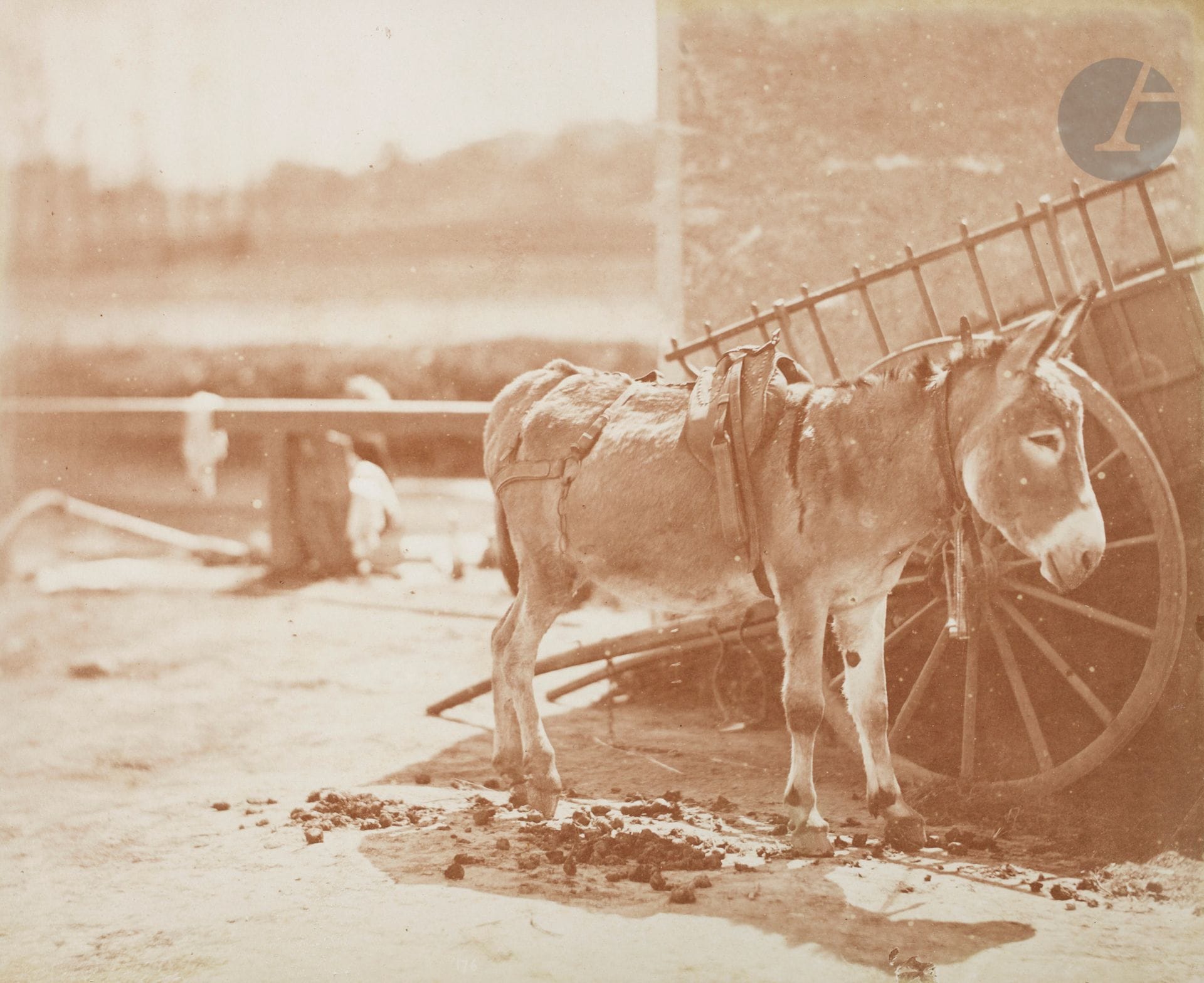 Achille Quinet (1831 - 1900) 
Études d’après nature, c. 1870 - 1880.  
Scènes rurales. Sciage. Étude d’arbre. Cour de ferme. Chevaux et attelage. Âne. Village. Entrée de ferme à Fontainebleau.  
Huit (8) épreuves sur papier albuminé, contrecollées sur cartons.  
Format moyen : 19,5 x 24 cm

Achille Quinet (1831-1900)
Études d'après nature, c. 1870-1880. 
Rural scenes. Sawing. Study of a tree. Farmyard. Horses and carriage. Donkey. Village. Entrance to a farm in Fontainebleau. 
Eight albumen prints, mounted on cardboards. 
Dimensions: 19.5 x 24 cm