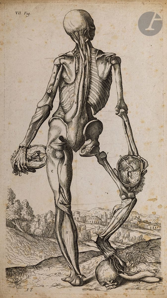 François Tortebat (1616-1690) 
Piles (Roger de). Défets de l’Abrégé d’Anatomie accommodé aux arts de peinture et de sculpture (éd. de 1765). Comprenant les pl. 1 à 7 et 9, certaines avec les sujets tirés recto-verso. Eau-forte d’après Titien. Chaque env. [260 x 435]. Bonnes épreuves sur vergé, certaines avec traits de mine de plomb (liées à d’anciens travaux de copistes). Rousseurs, auréoles d’humidité, plis et menus accidents. Joint : feuillets de texte et deux autres pl.