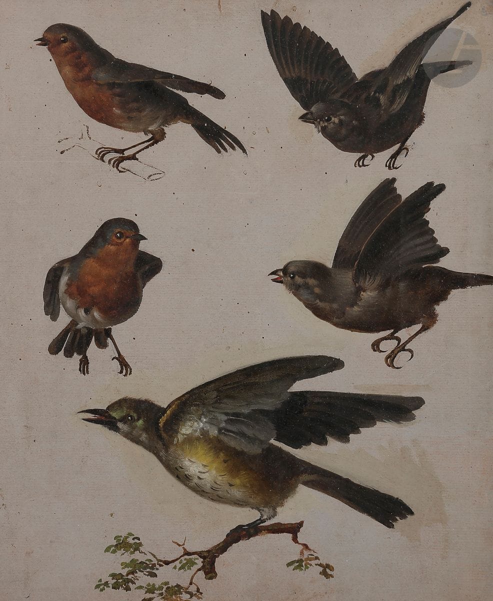École FRANÇAISE du XVIIIe siècle
Cinq études d’oiseaux sur la même feuille
Huile sur papier préparé en gris
32 x 27 cm
(Petites taches et petite déchirure en haut au centre).