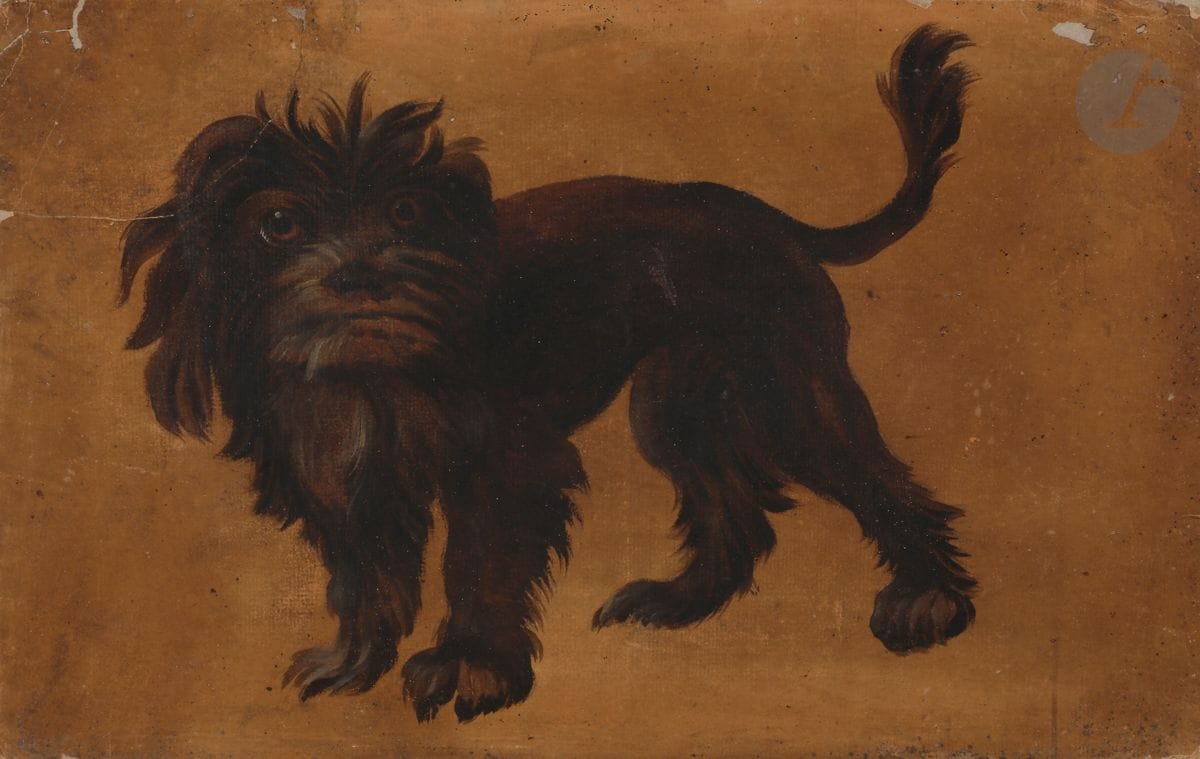 École FRANÇAISE du XVIIIe siècle
Étude de chien
Huile sur papier préparée en ocre jaune
24 x 37,5 cm
(Dessin doublé, manques et déchirures en haut à gauche).
