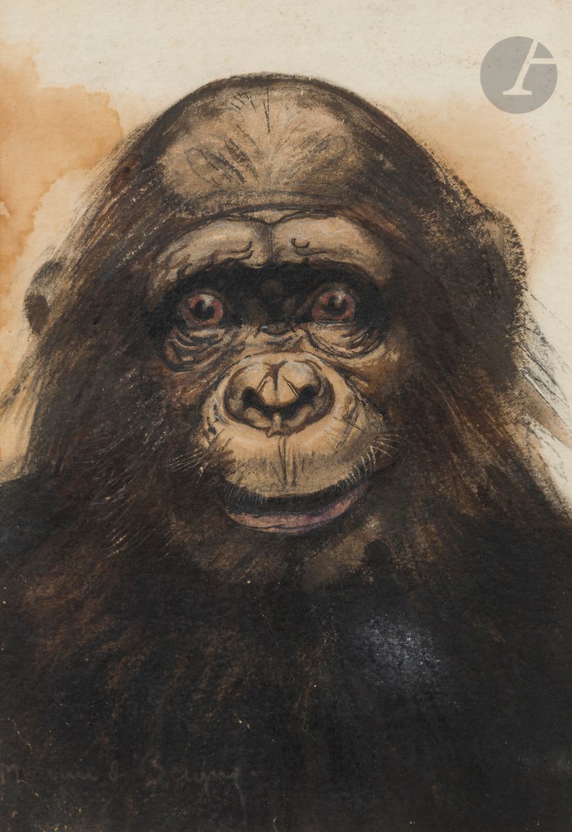 Maurice Jaubert de BECQUE (1878-1938
)The ChimpanzeeInk
, black and brown ink washSigned
at the bottom left.
(Stains).
29 x 20,5 cm




