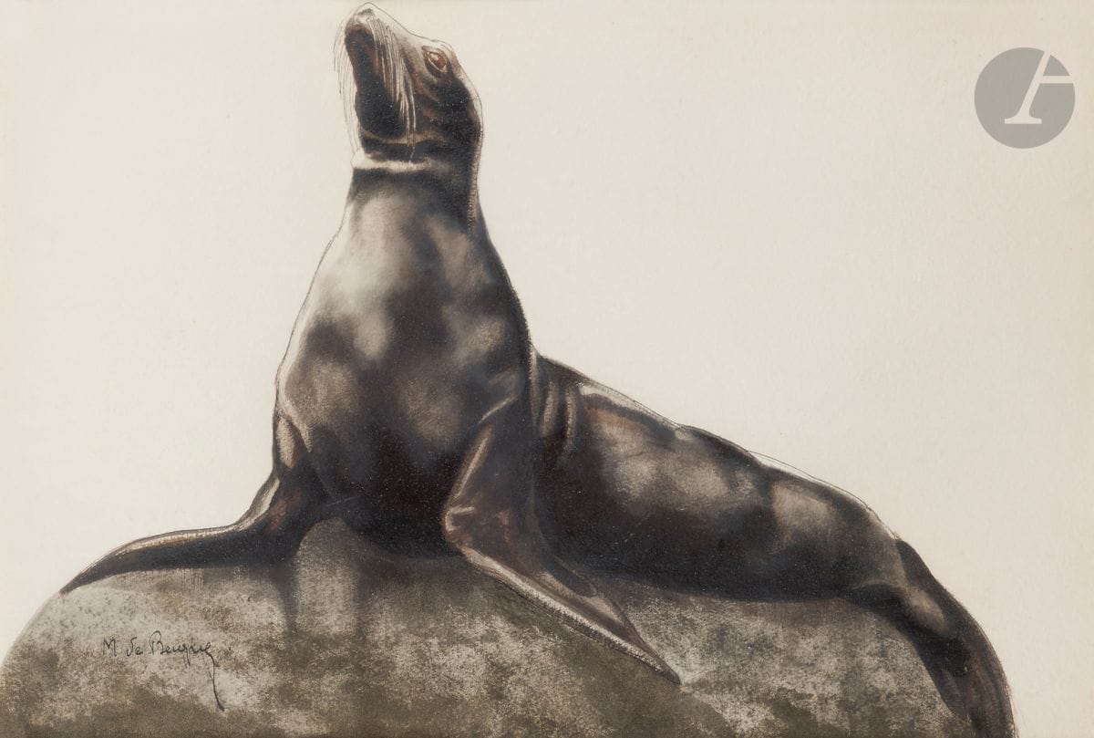 Maurice Jaubert de BECQUE (1878-1938)
Phoque au rocher
Encre et aquarelle.
Signée en bas à gauche.
36 x 53 cm