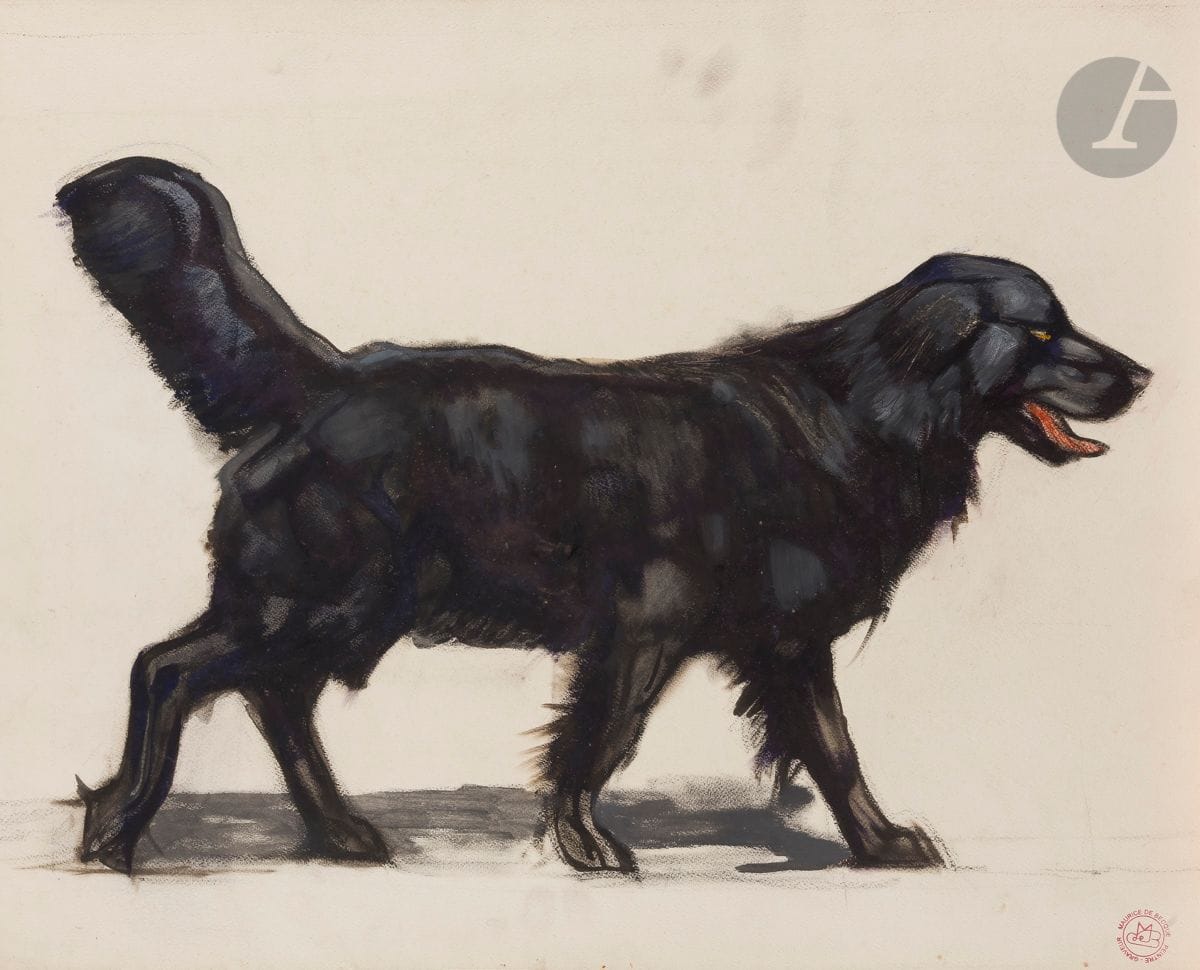 Maurice Jaubert de BECQUE (1878-1938)
Retriever noir
Encre, lavis d’encre et gouache.
Timbre de l’atelier en bas à droite.
46,5 x 58 cm
