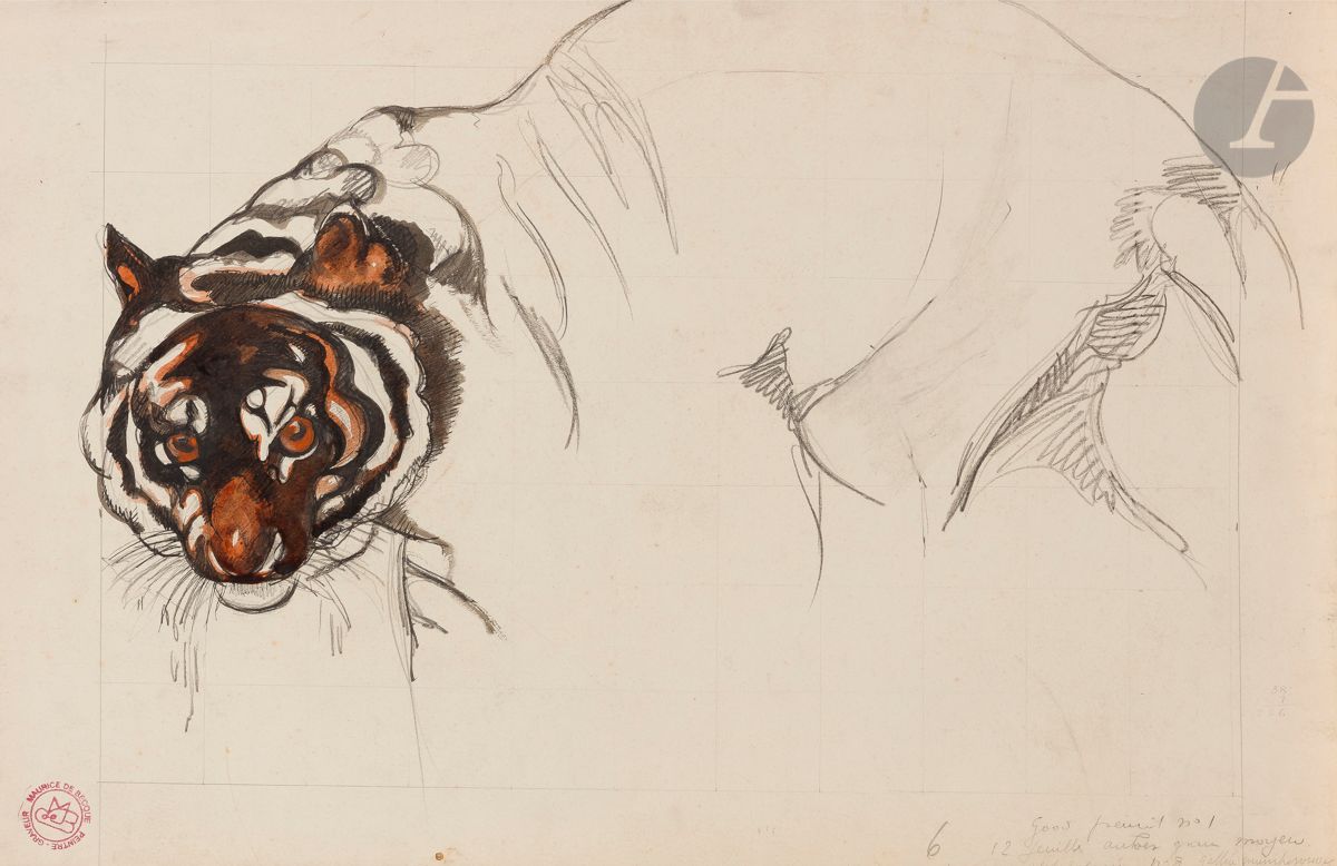 Maurice Jaubert de BECQUE (1878-1938
)Study of a tigerInk
and watercolor on pencil lines.
Stamp of the workshop in lower left.
32,5 x 50 cm



